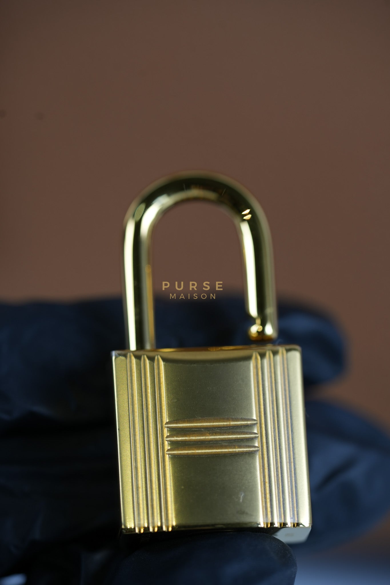 Birkin 25 in Gold Togo Leather & Gold Hardware Stamp B(2023)