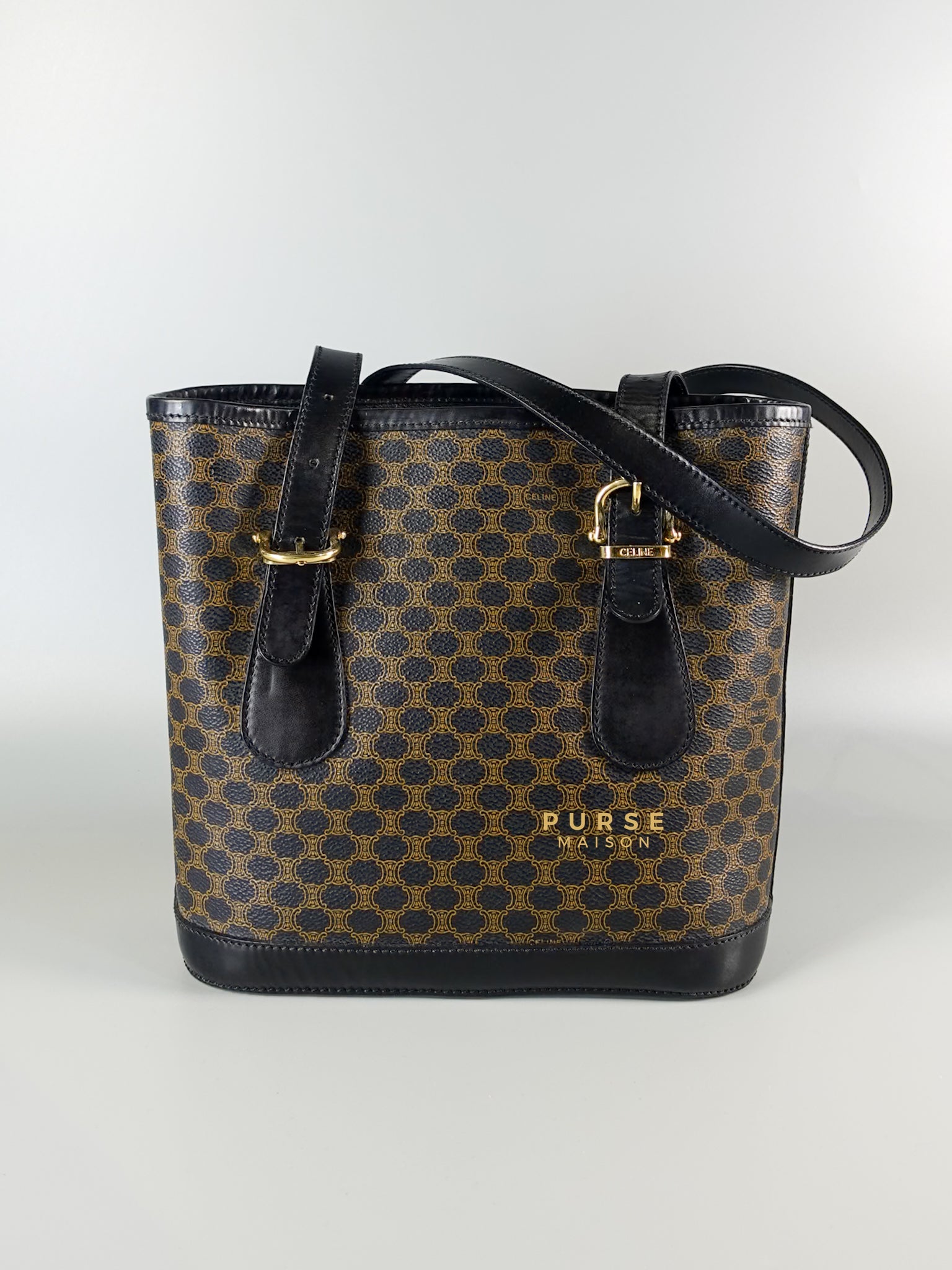 Black Triomphe Monogram Canvas Bucket Bag | Purse Maison Luxury Bags Shop