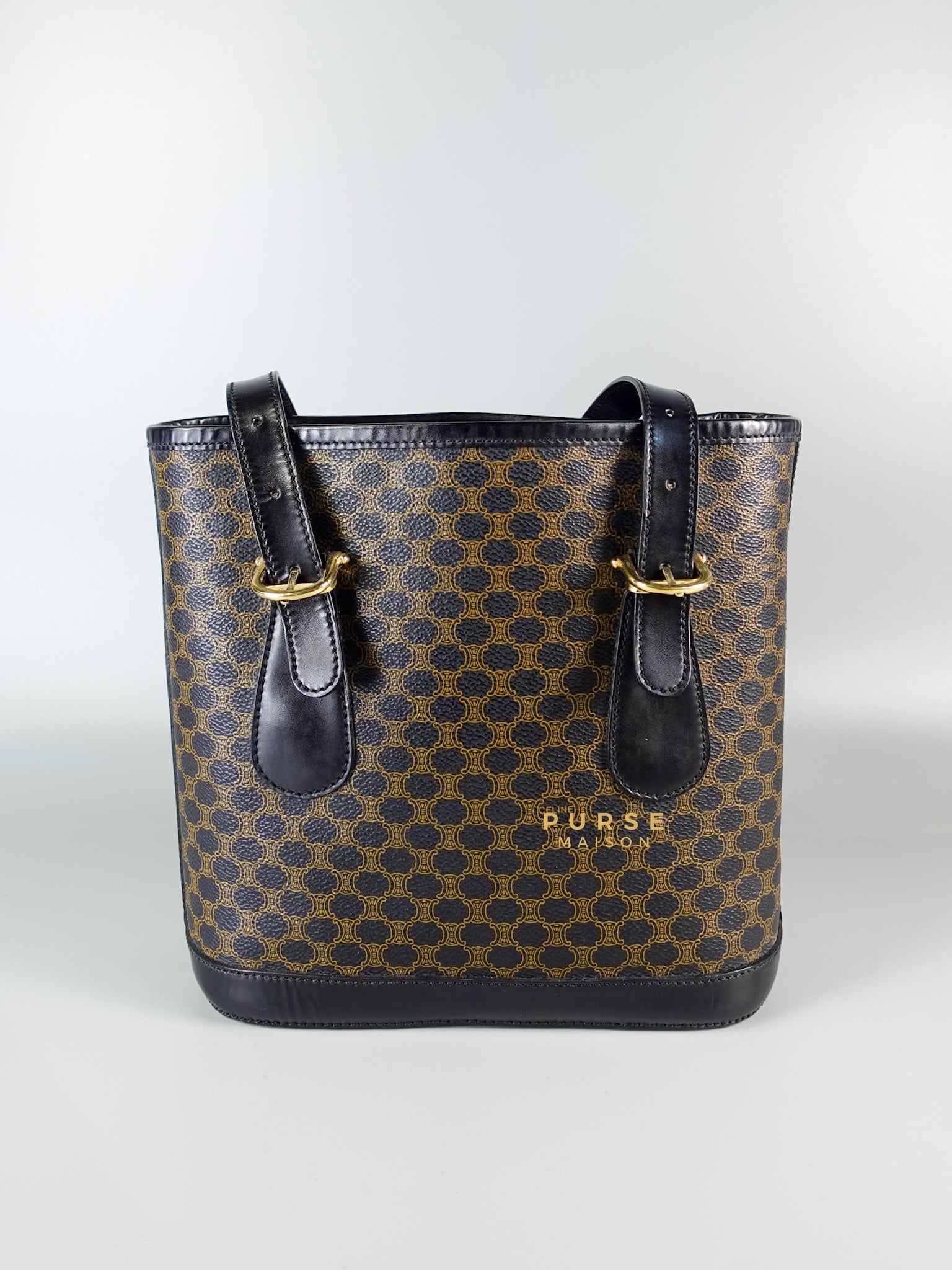 Black Triomphe Monogram Canvas Bucket Bag | Purse Maison Luxury Bags Shop