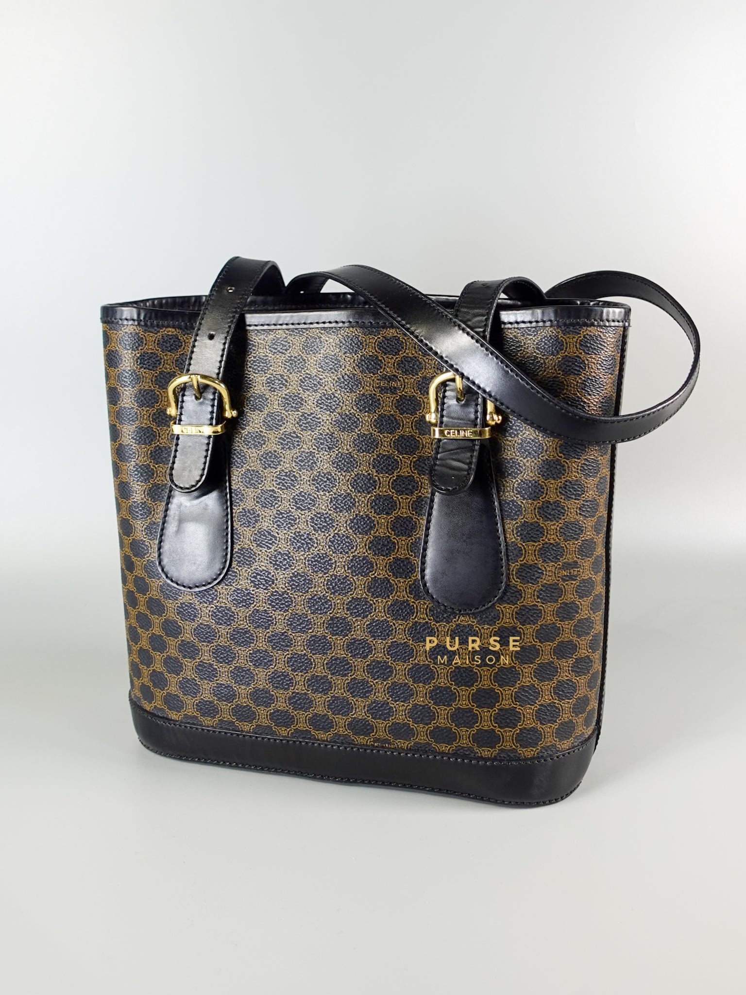 Black Triomphe Monogram Canvas Bucket Bag | Purse Maison Luxury Bags Shop