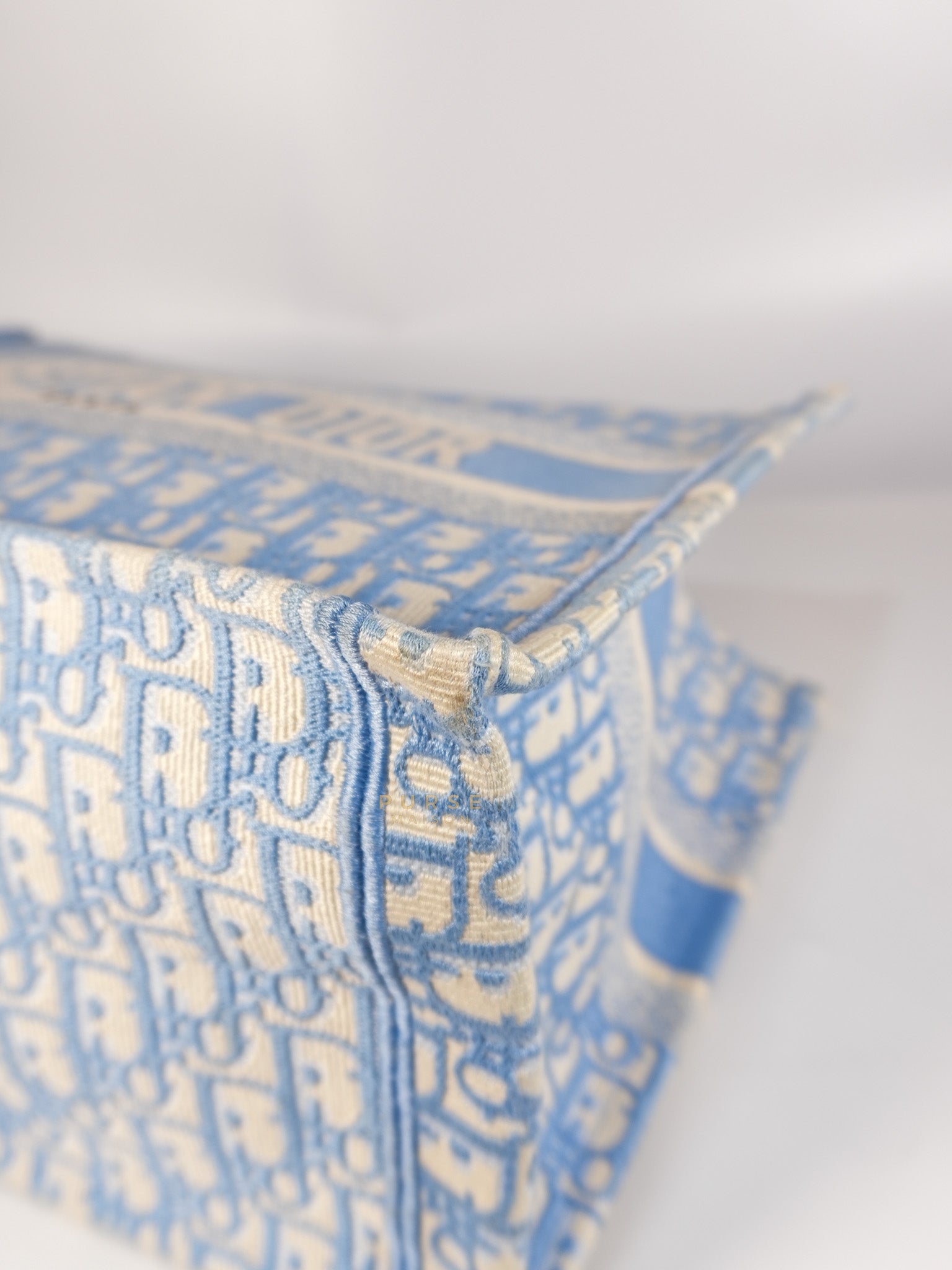 Book Tote Medium Sky Blue Oblique Canvas | Purse Maison Luxury Bags Shop