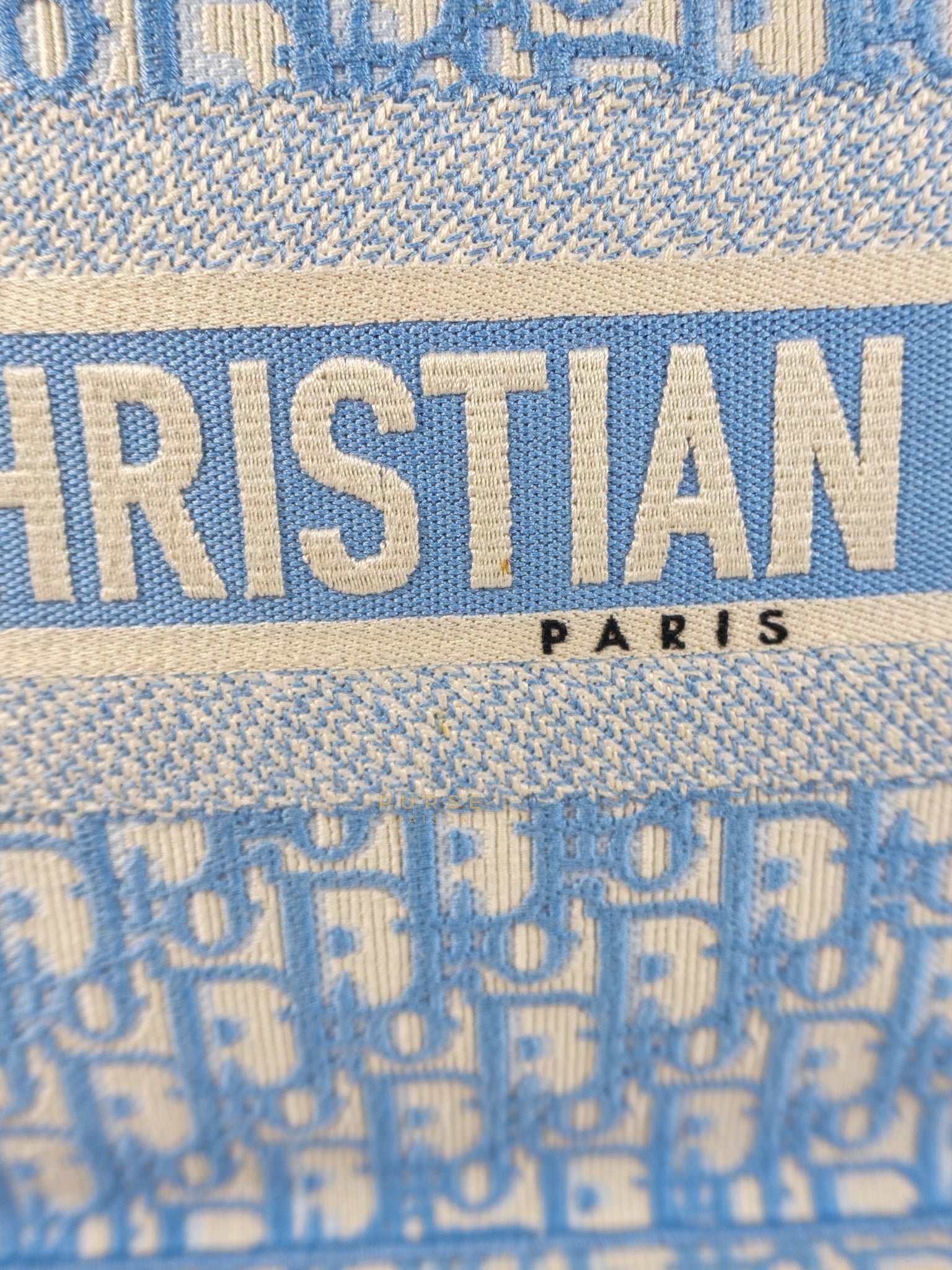 Book Tote Medium Sky Blue Oblique Canvas | Purse Maison Luxury Bags Shop