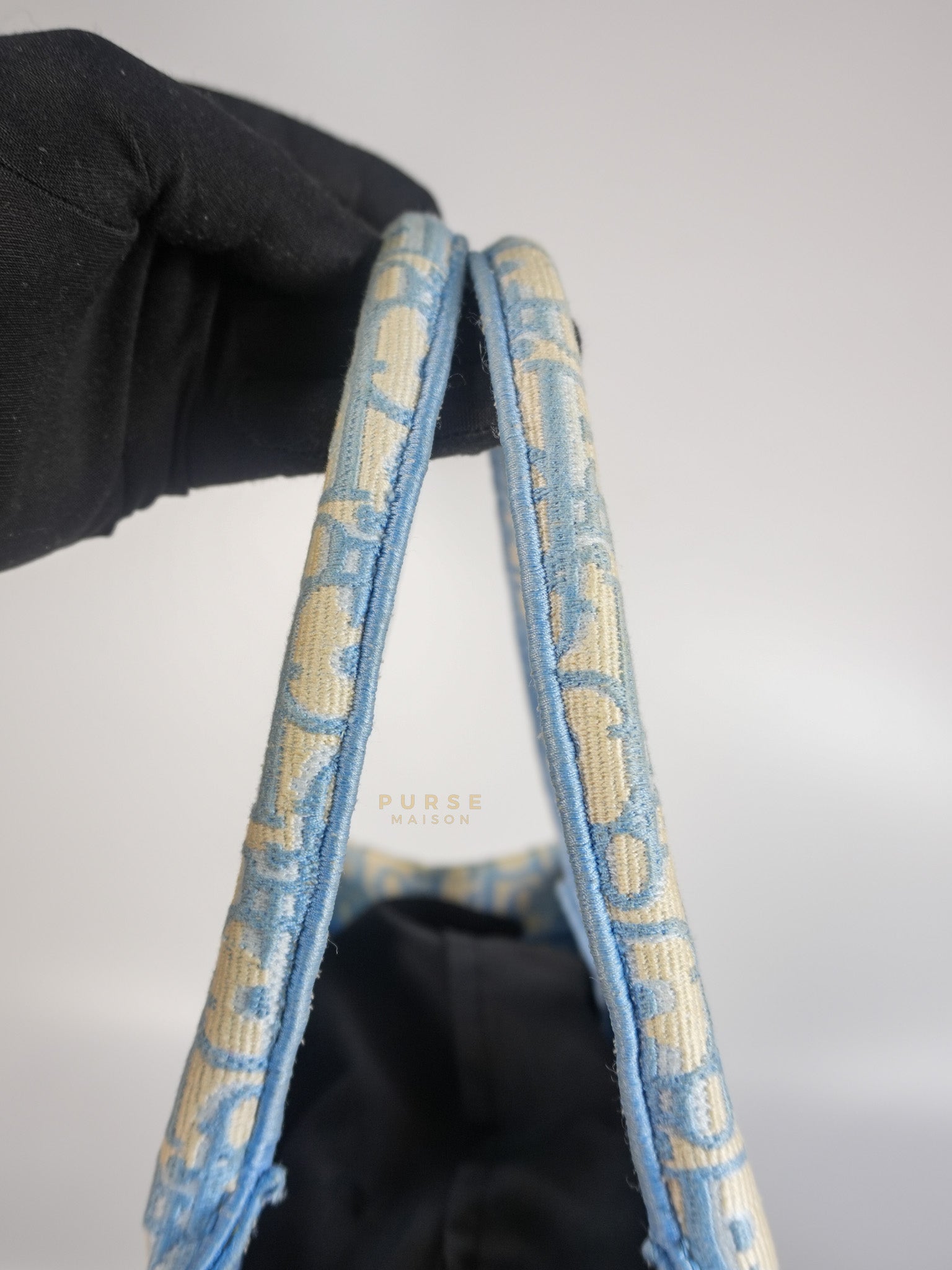 Book Tote Medium Sky Blue Oblique Canvas | Purse Maison Luxury Bags Shop