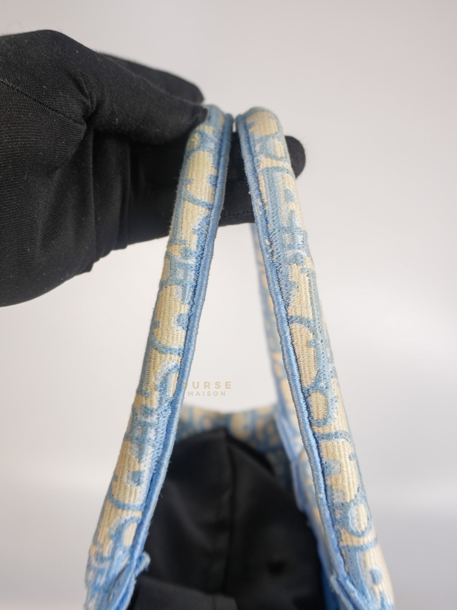 Book Tote Medium Sky Blue Oblique Canvas | Purse Maison Luxury Bags Shop