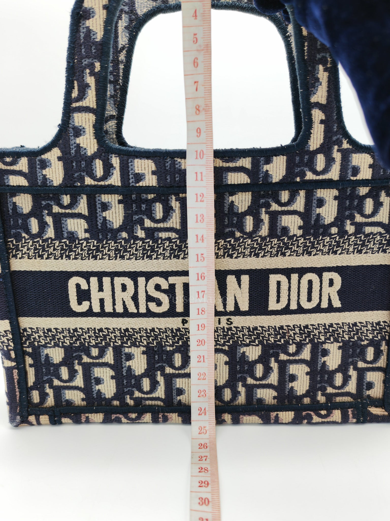 Book Tote Mini in Blue Embroidered Canvas | Purse Maison Luxury Bags Shop