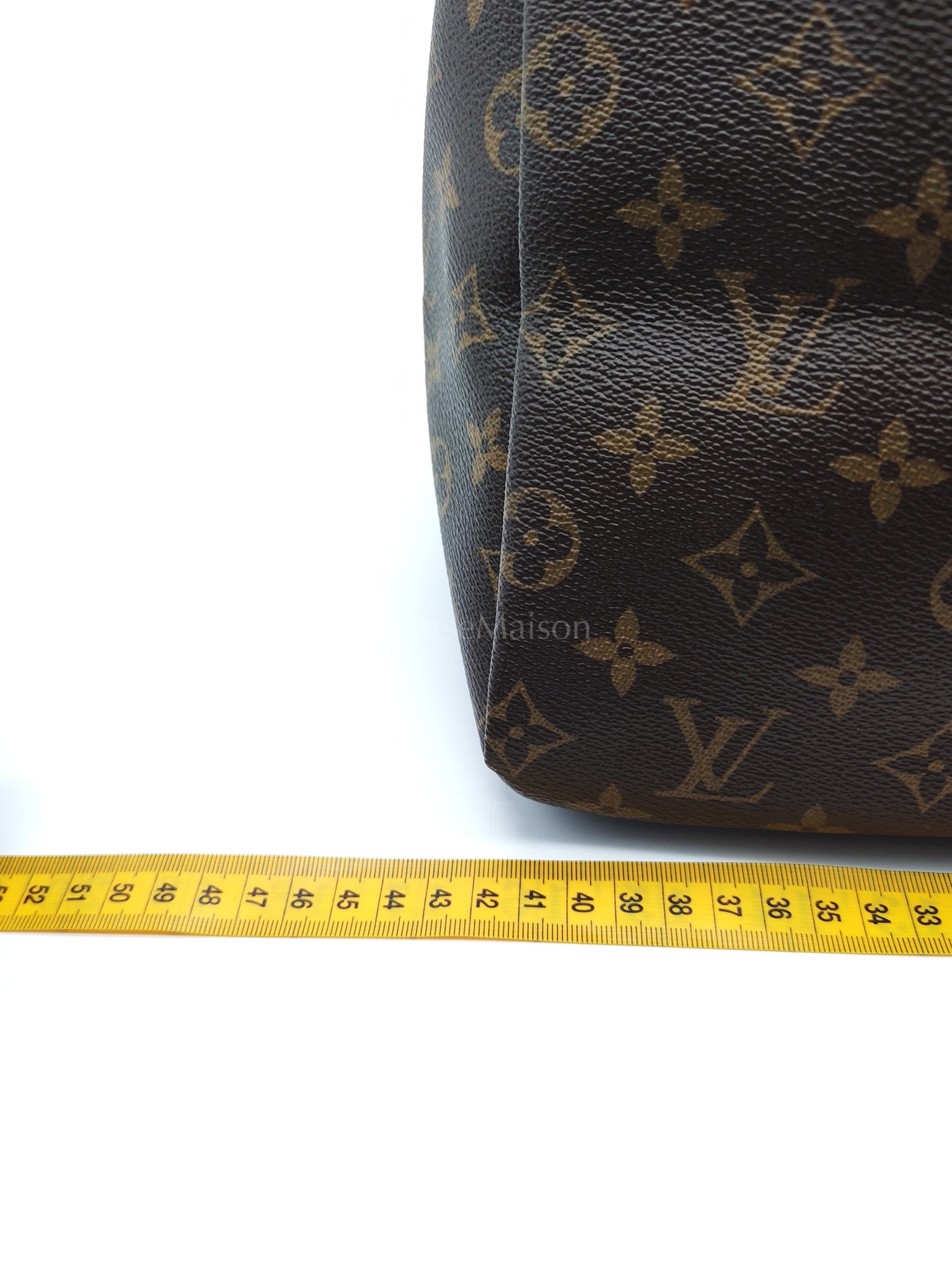 Artsy Bag MM in Monogram Canvas (Microchip)