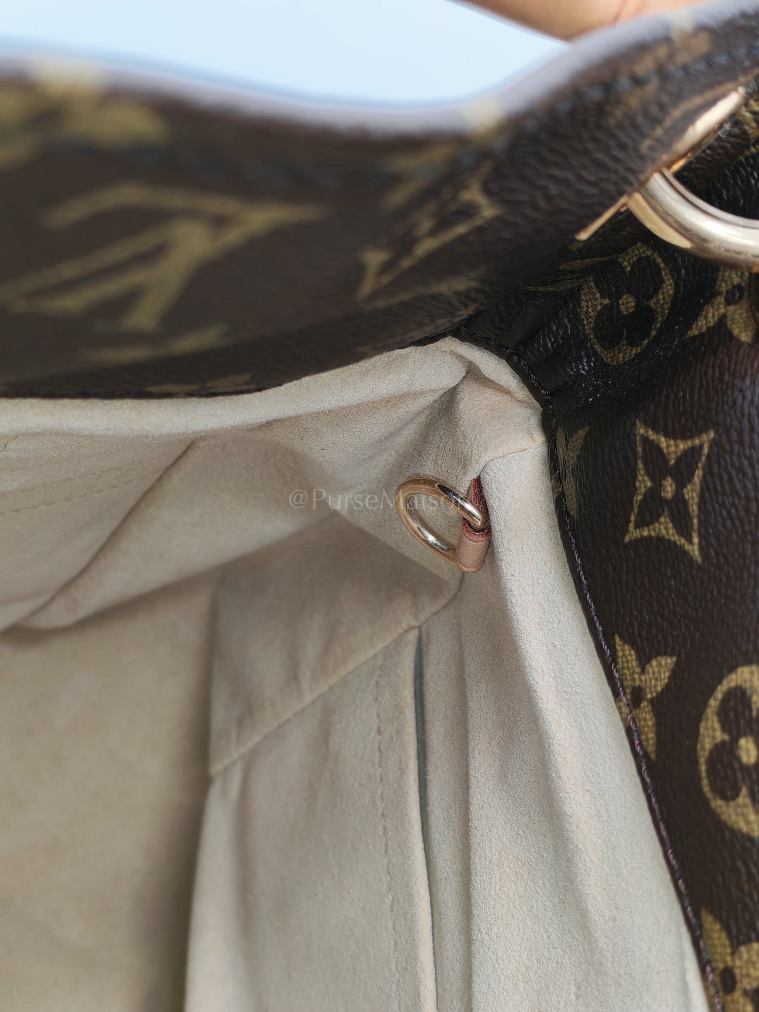 Artsy Bag MM in Monogram Canvas (Microchip)