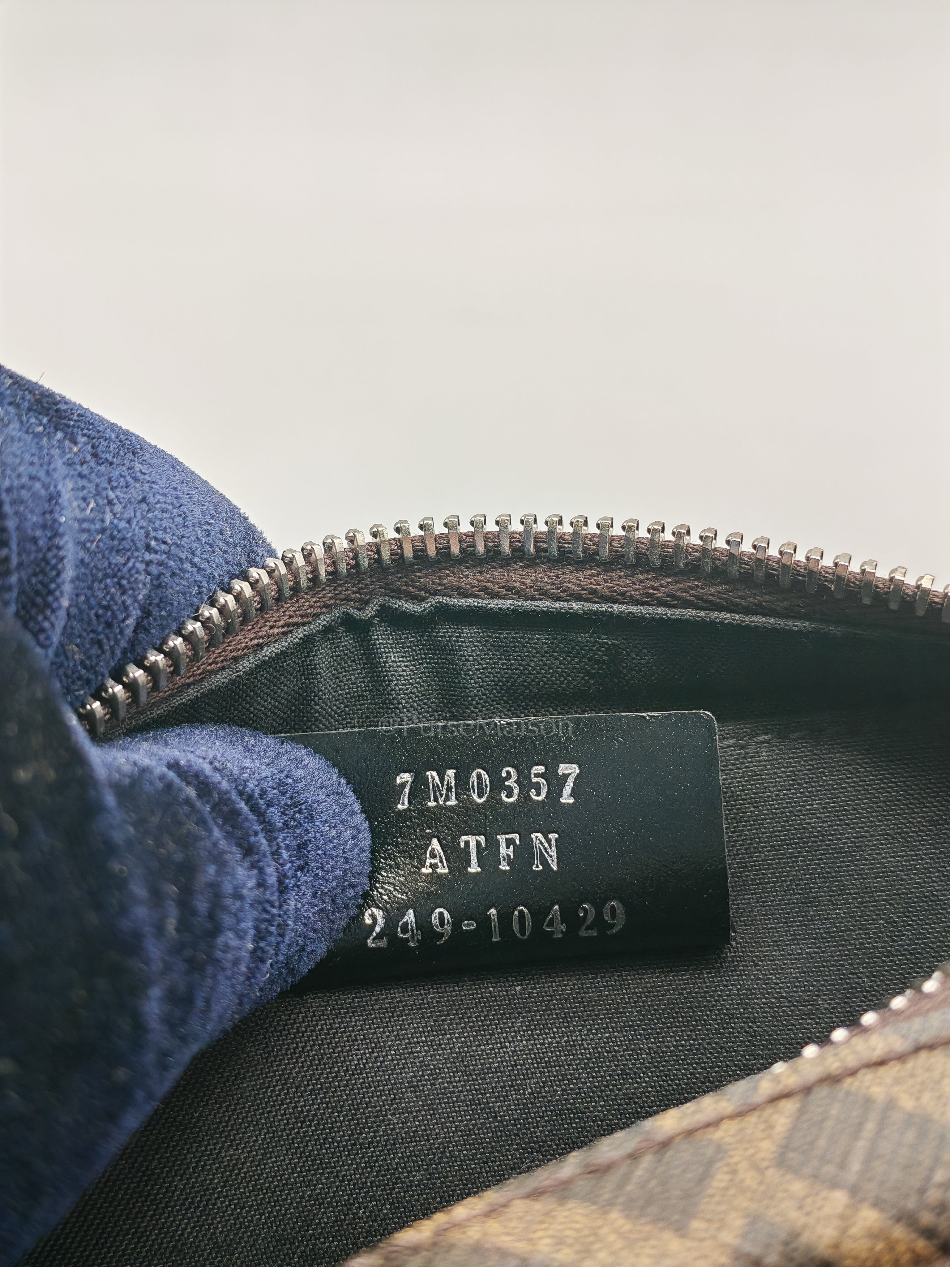 Monogram Camera Case in Woven Canvas Crossbody Bag