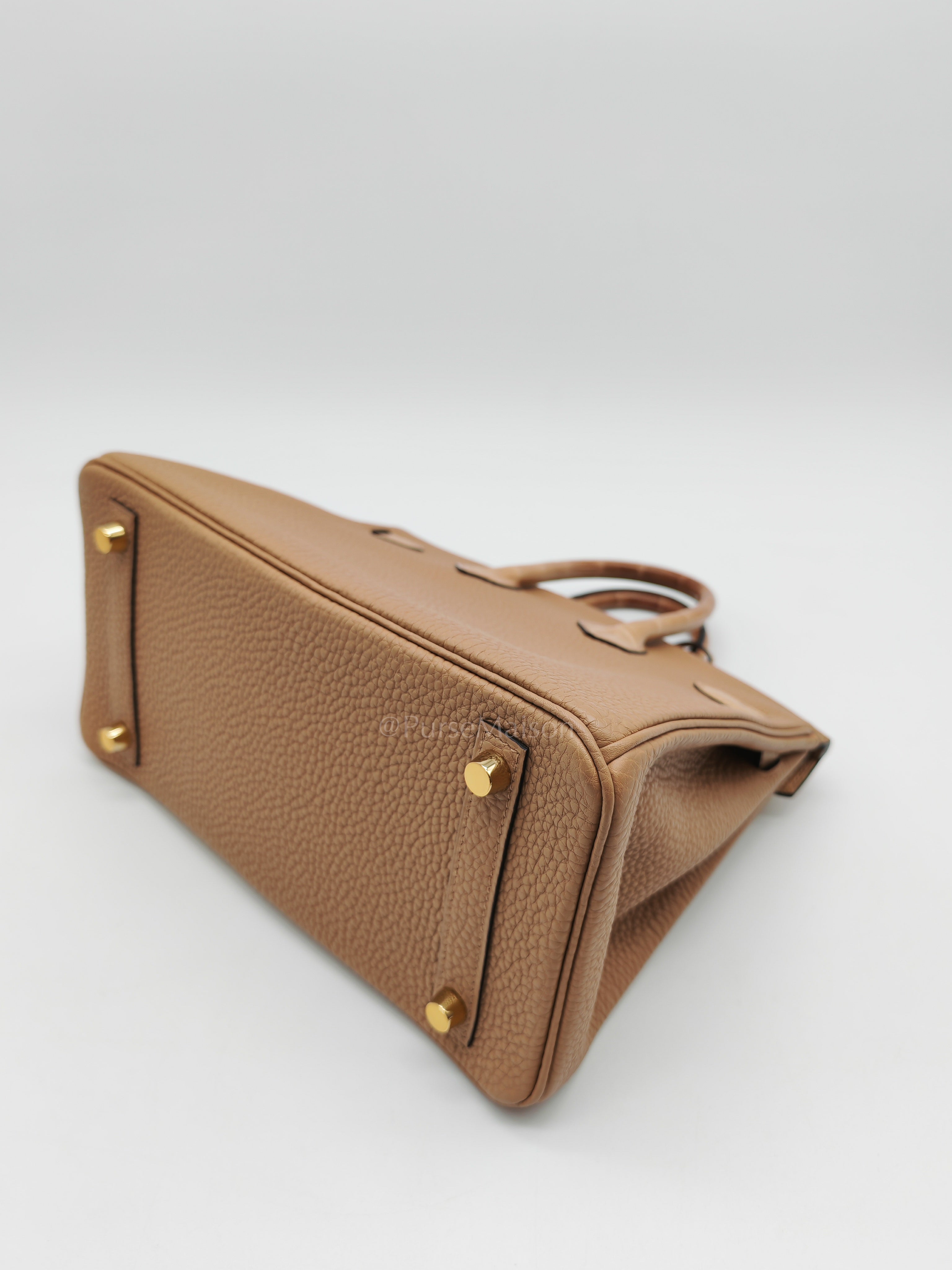 Birkin 25  Retourne Touch in Chai Togo and Alligator Leather in Permabrass Hardware Stamp U (2022)