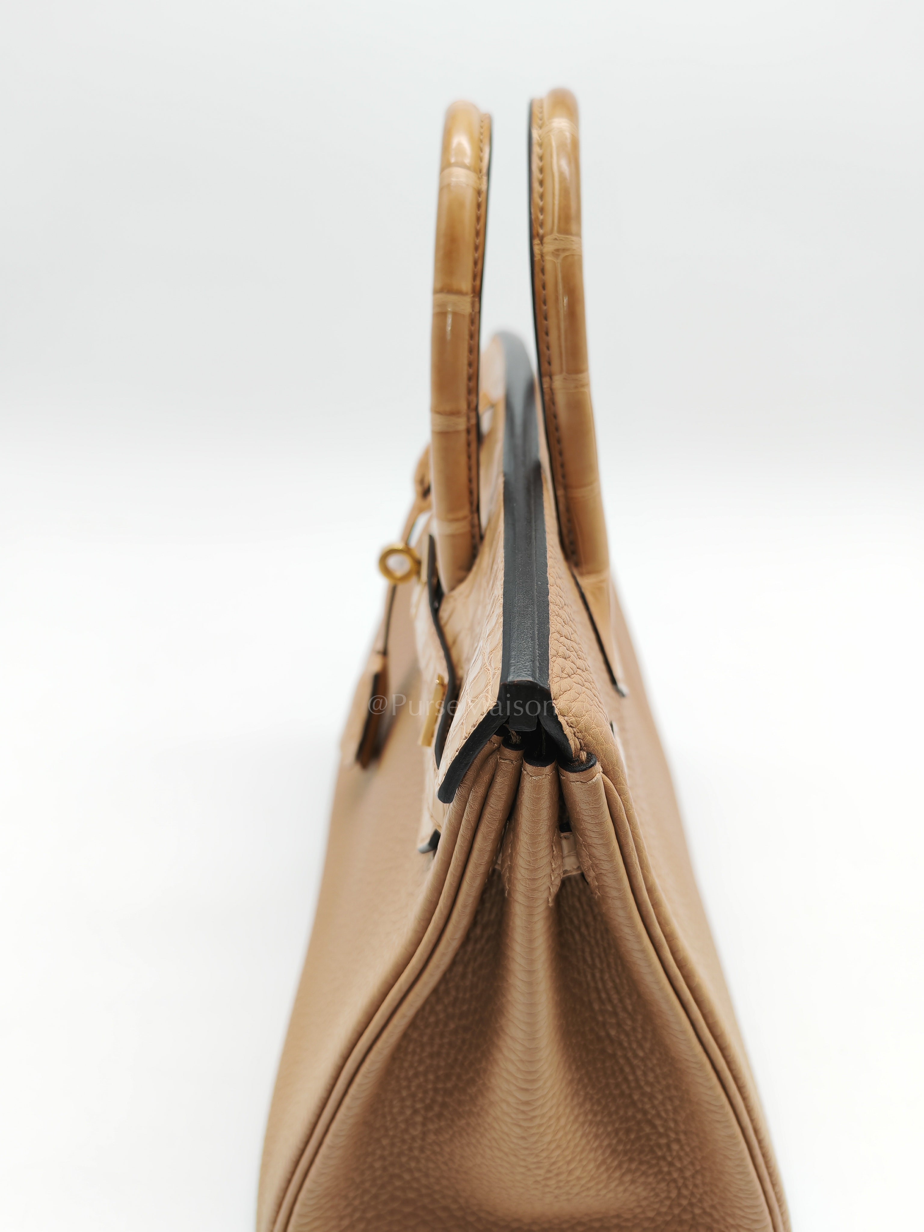 Birkin 25  Retourne Touch in Chai Togo and Alligator Leather in Permabrass Hardware Stamp U (2022)