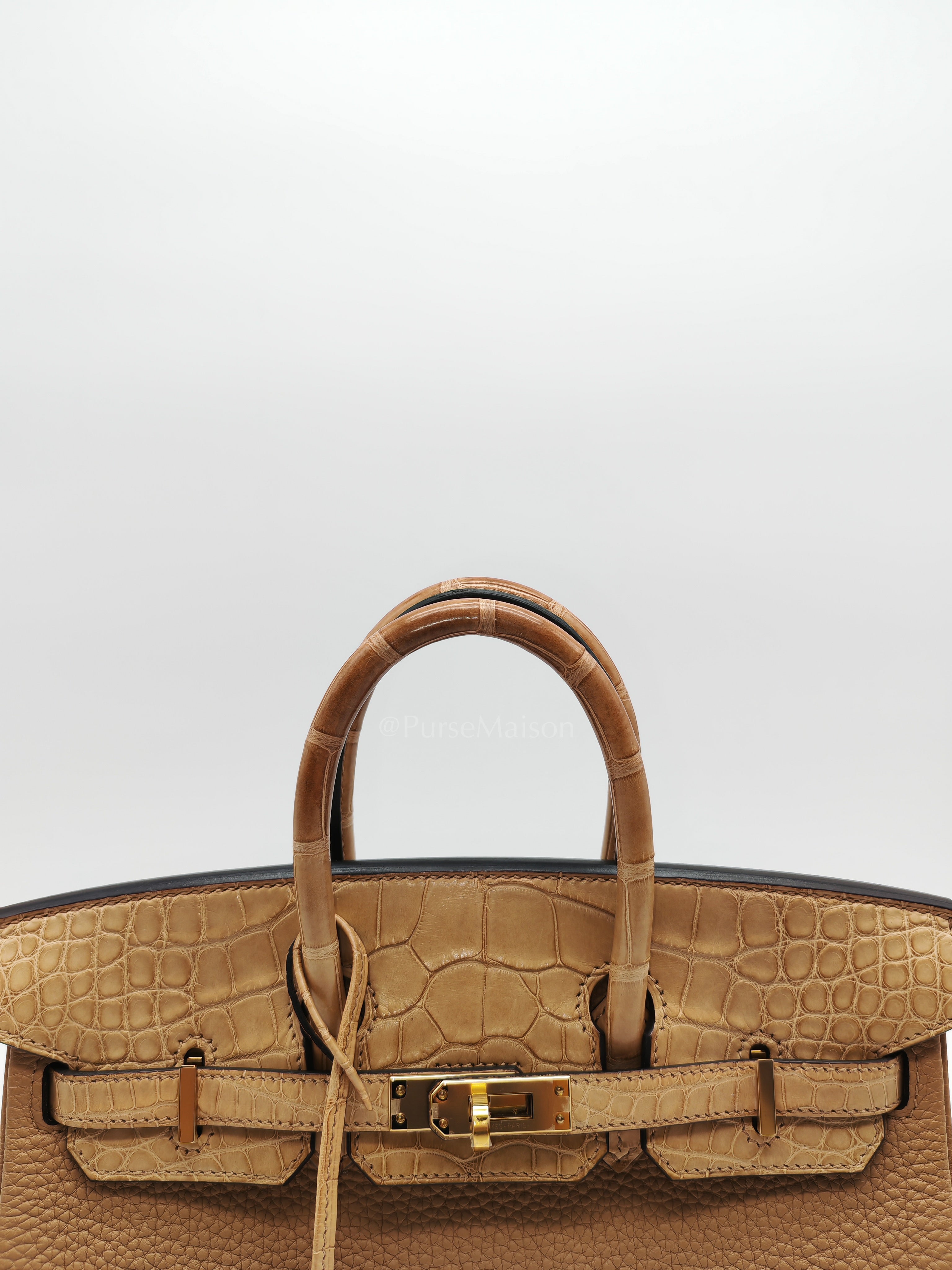 Birkin 25  Retourne Touch in Chai Togo and Alligator Leather in Permabrass Hardware Stamp U (2022)
