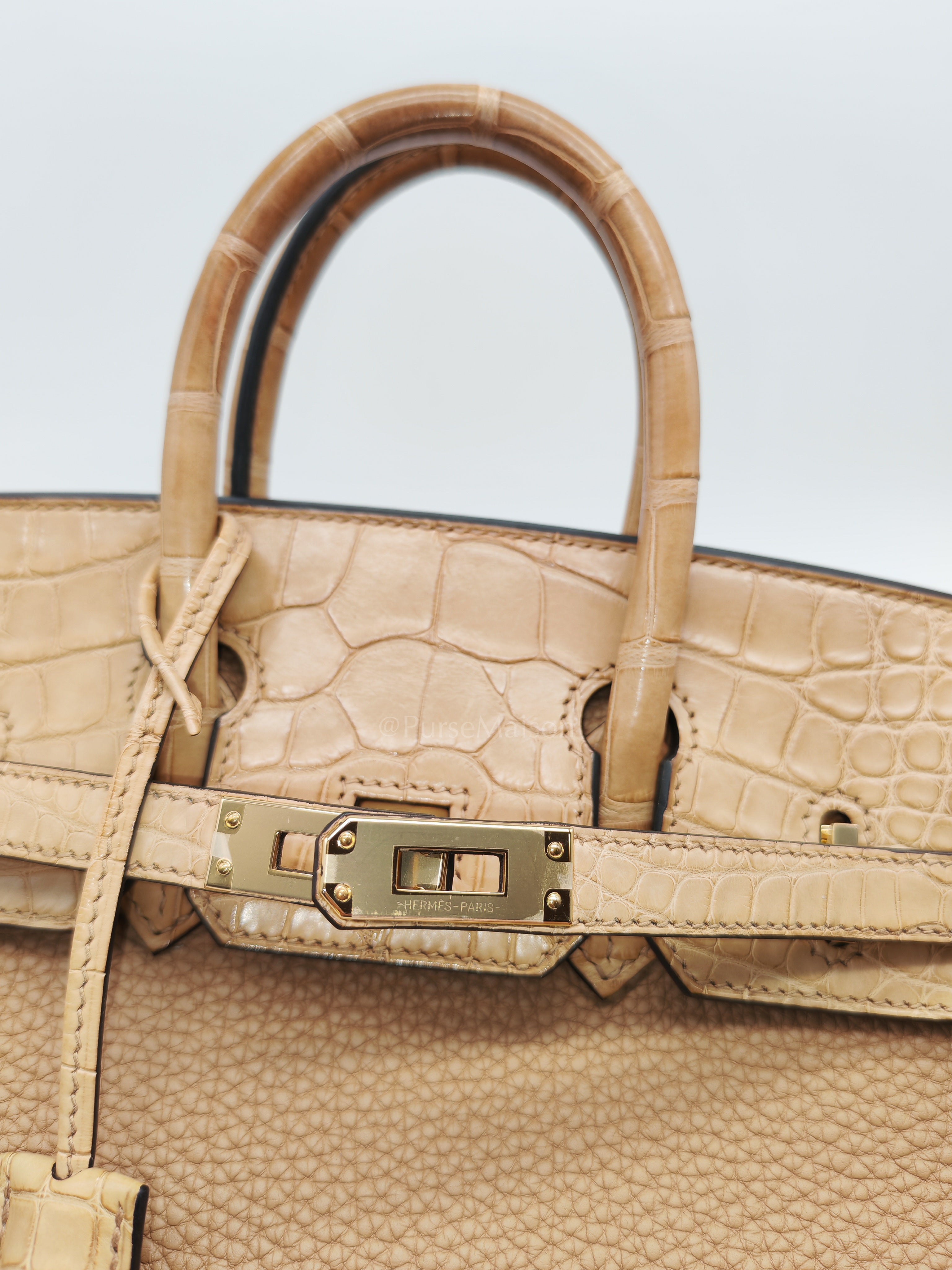 Birkin 25  Retourne Touch in Chai Togo and Alligator Leather in Permabrass Hardware Stamp U (2022)