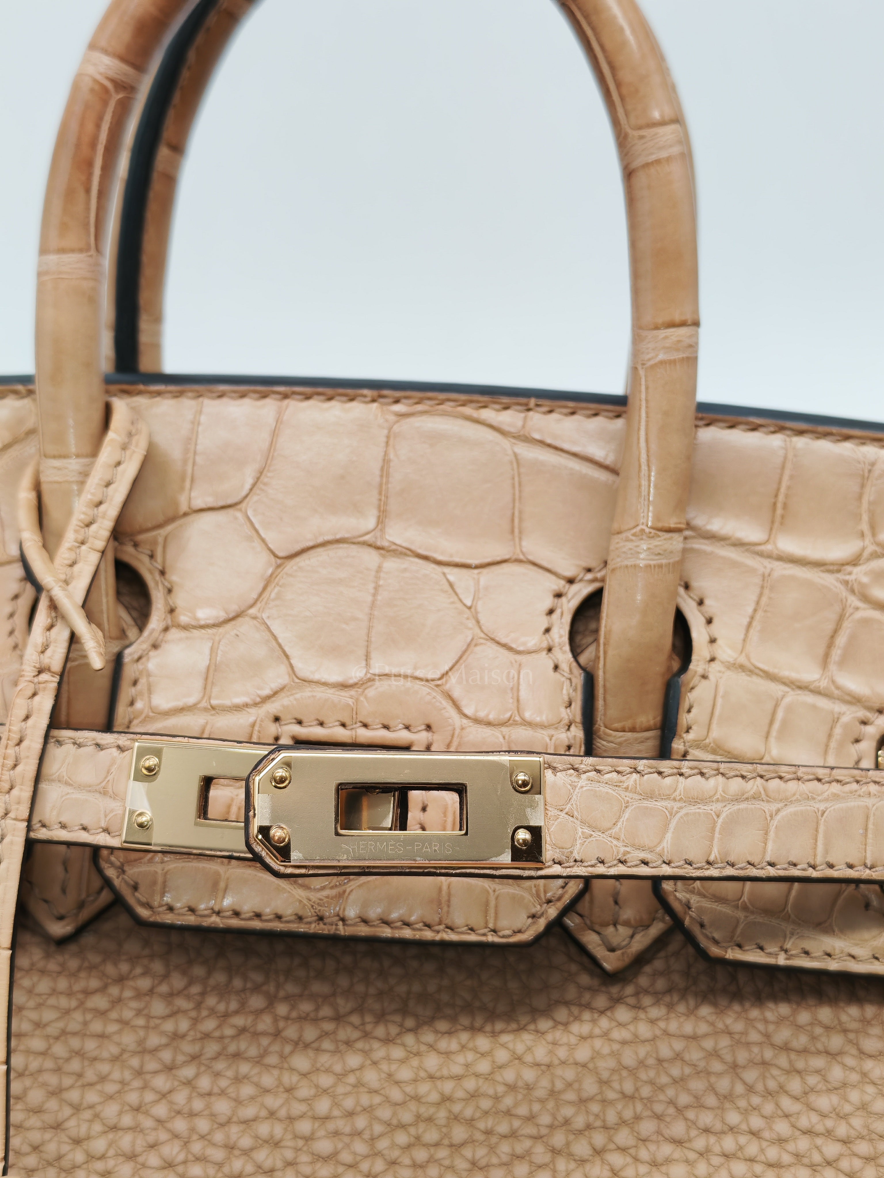 Birkin 25  Retourne Touch in Chai Togo and Alligator Leather in Permabrass Hardware Stamp U (2022)