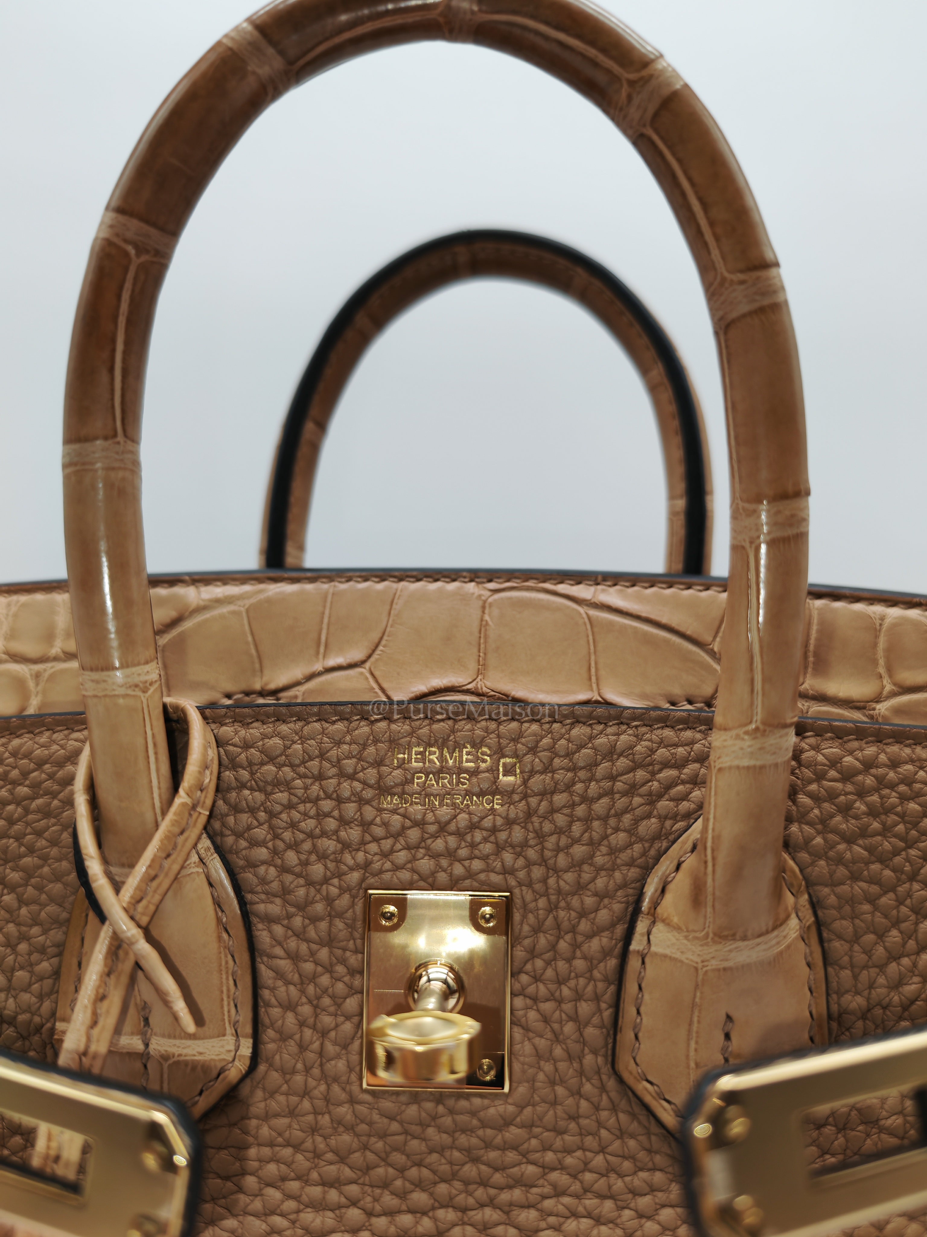 Birkin 25  Retourne Touch in Chai Togo and Alligator Leather in Permabrass Hardware Stamp U (2022)