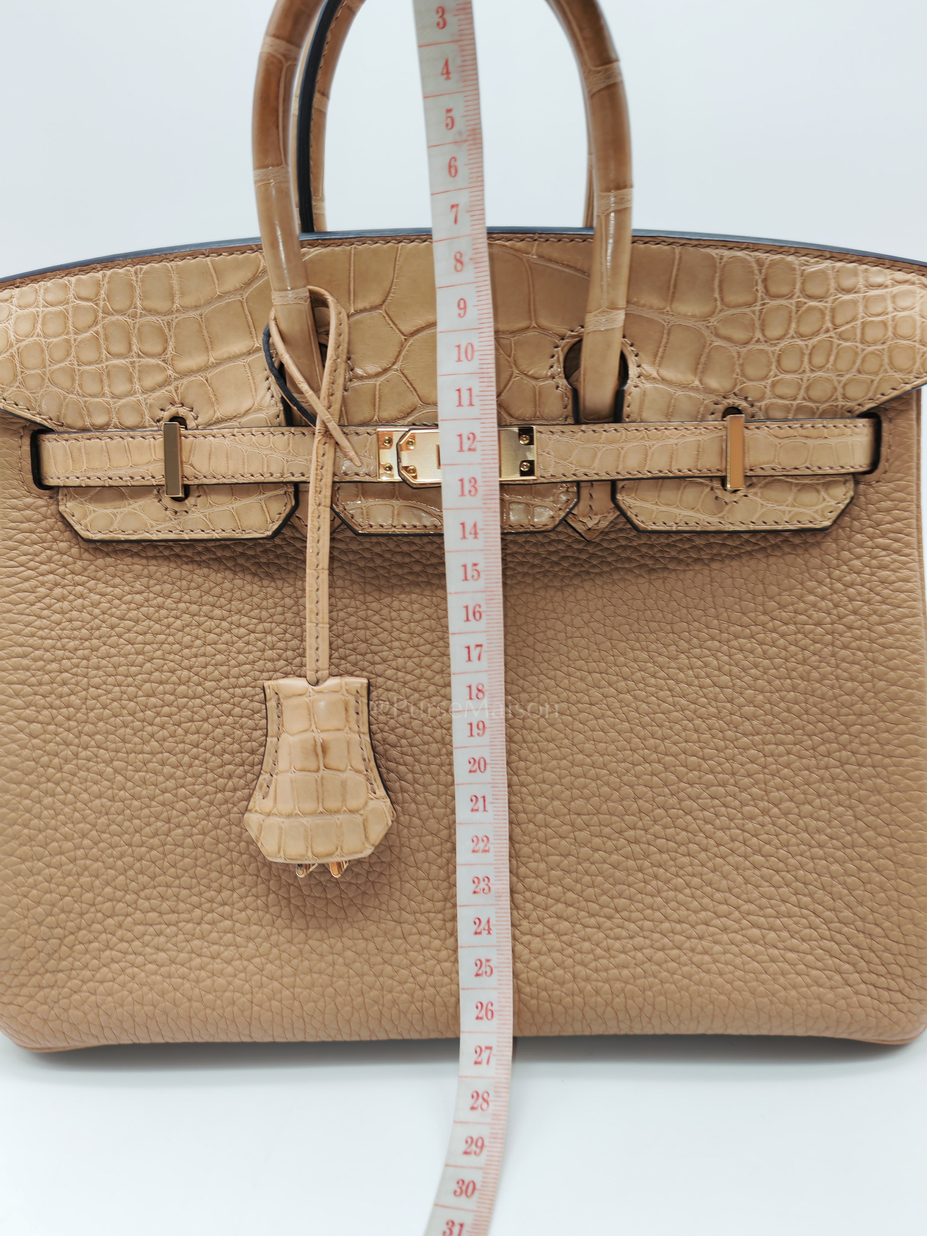 Birkin 25  Retourne Touch in Chai Togo and Alligator Leather in Permabrass Hardware Stamp U (2022)