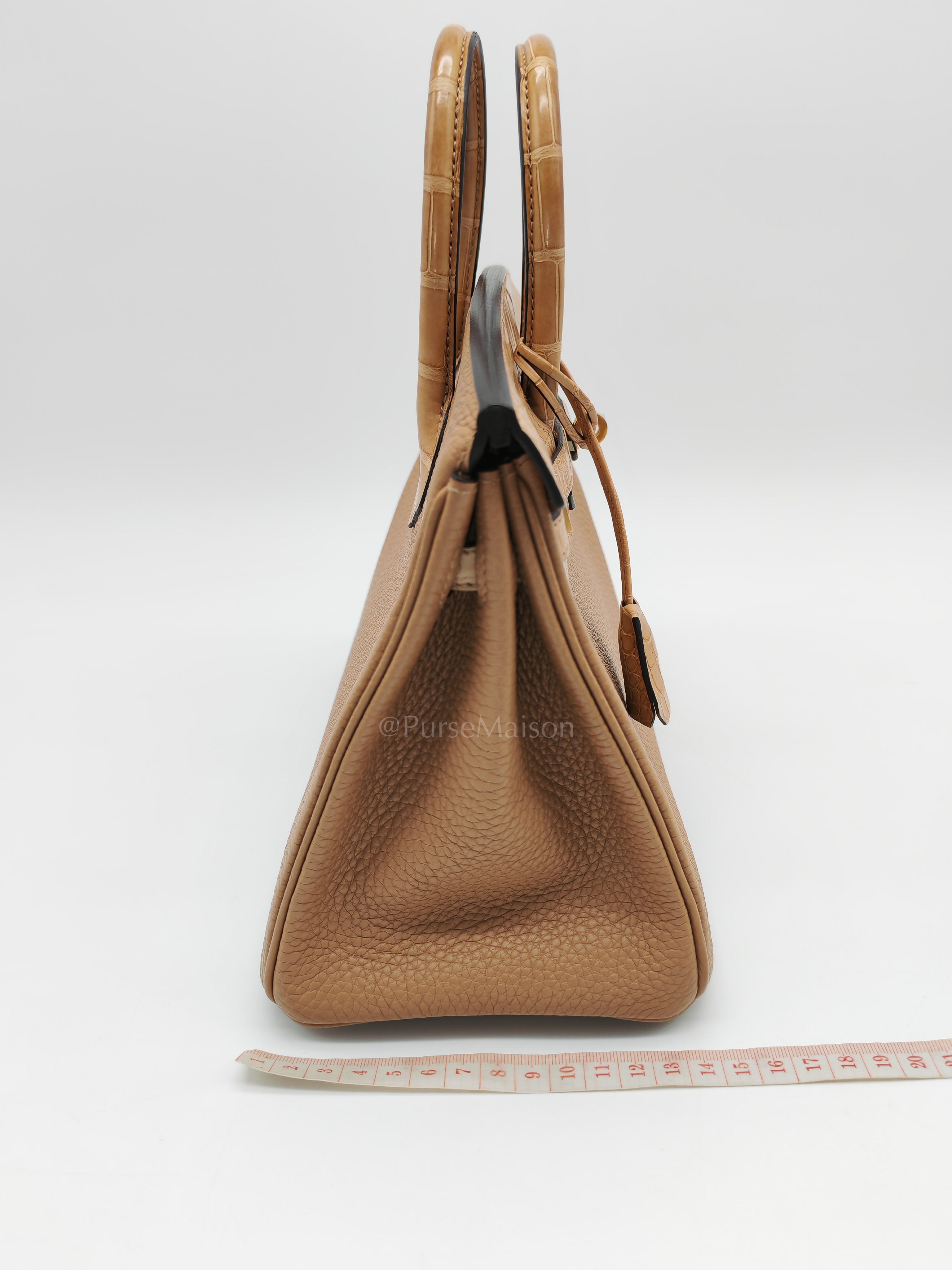Birkin 25  Retourne Touch in Chai Togo and Alligator Leather in Permabrass Hardware Stamp U (2022)