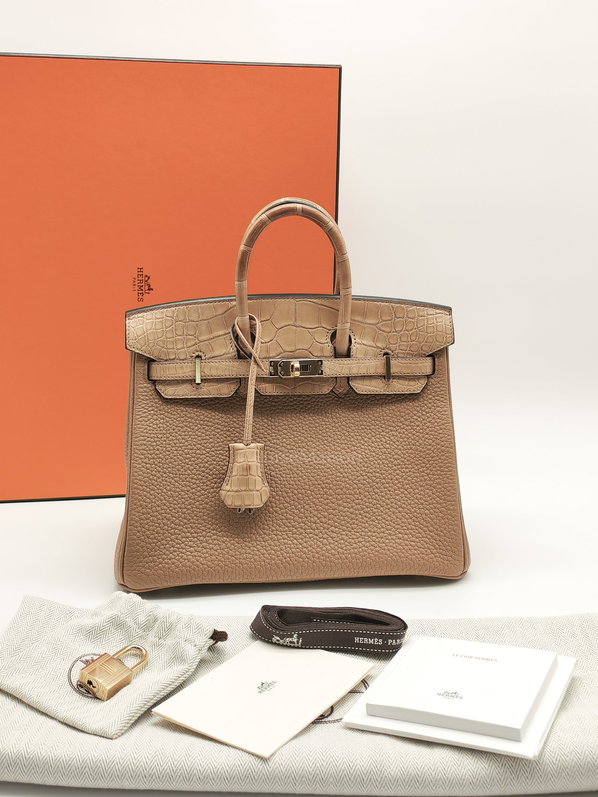 Birkin 25  Retourne Touch in Chai Togo and Alligator Leather in Permabrass Hardware Stamp U (2022)
