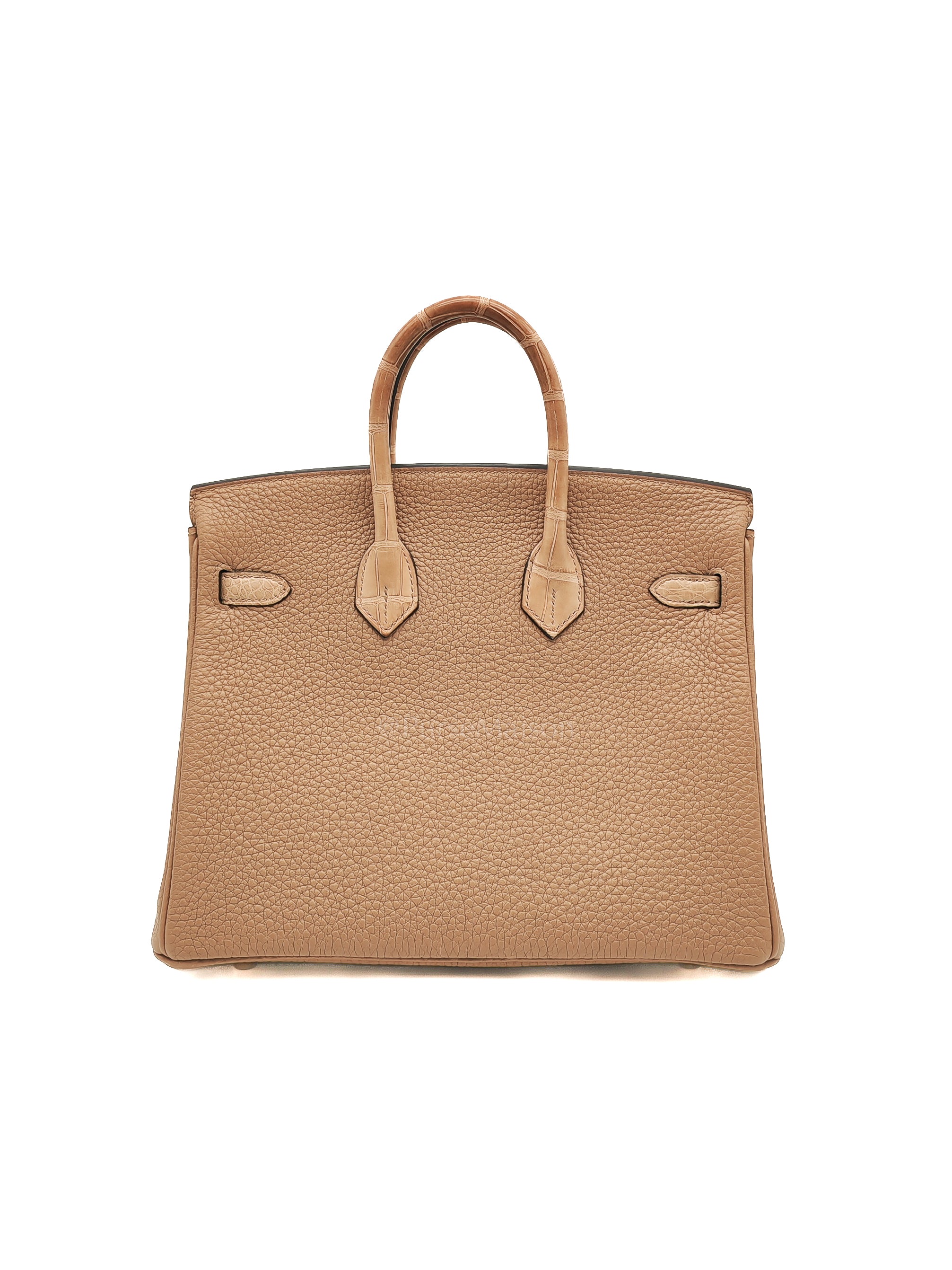 Birkin 25  Retourne Touch in Chai Togo and Alligator Leather in Permabrass Hardware Stamp U (2022)