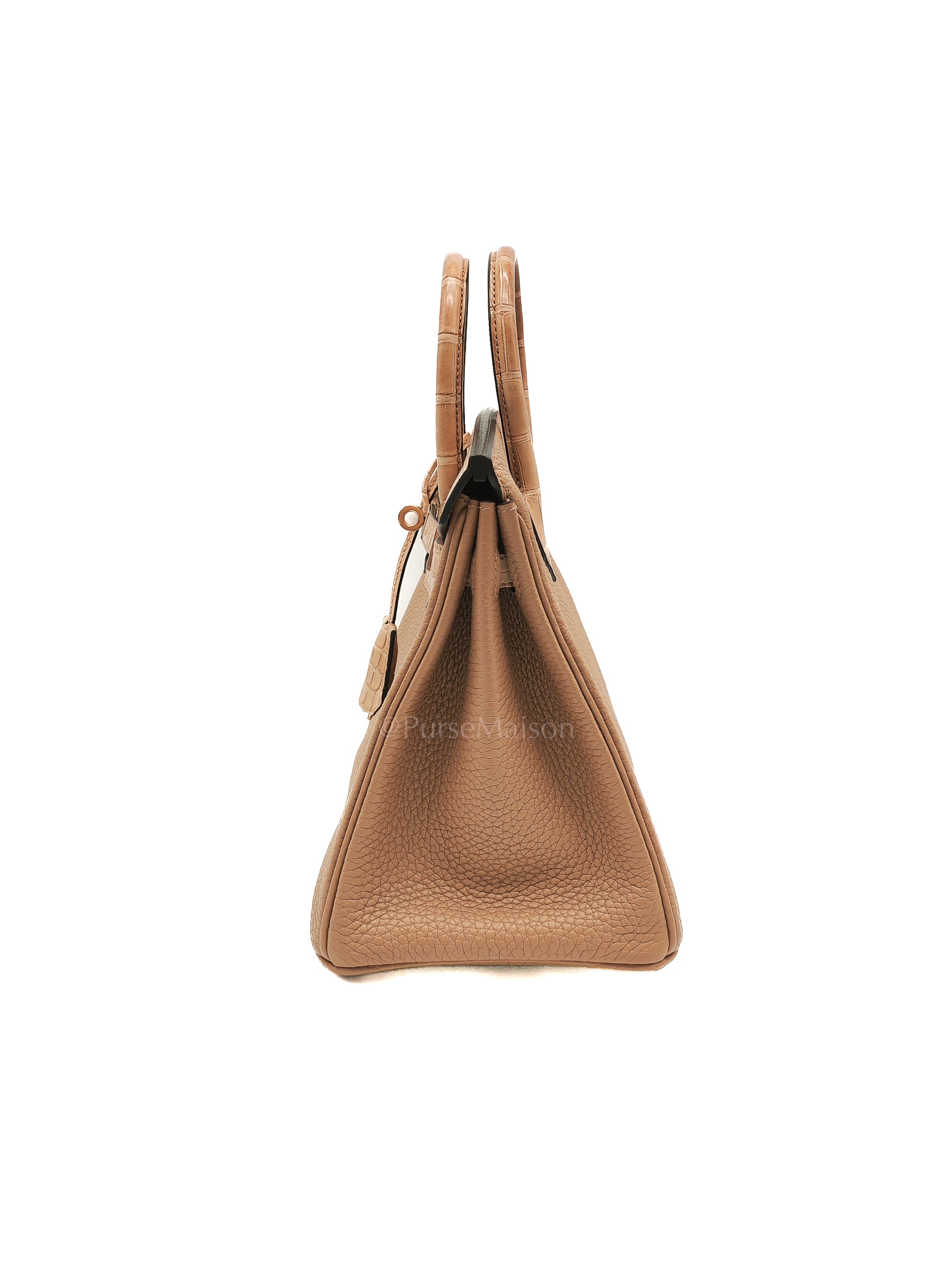 Birkin 25  Retourne Touch in Chai Togo and Alligator Leather in Permabrass Hardware Stamp U (2022)