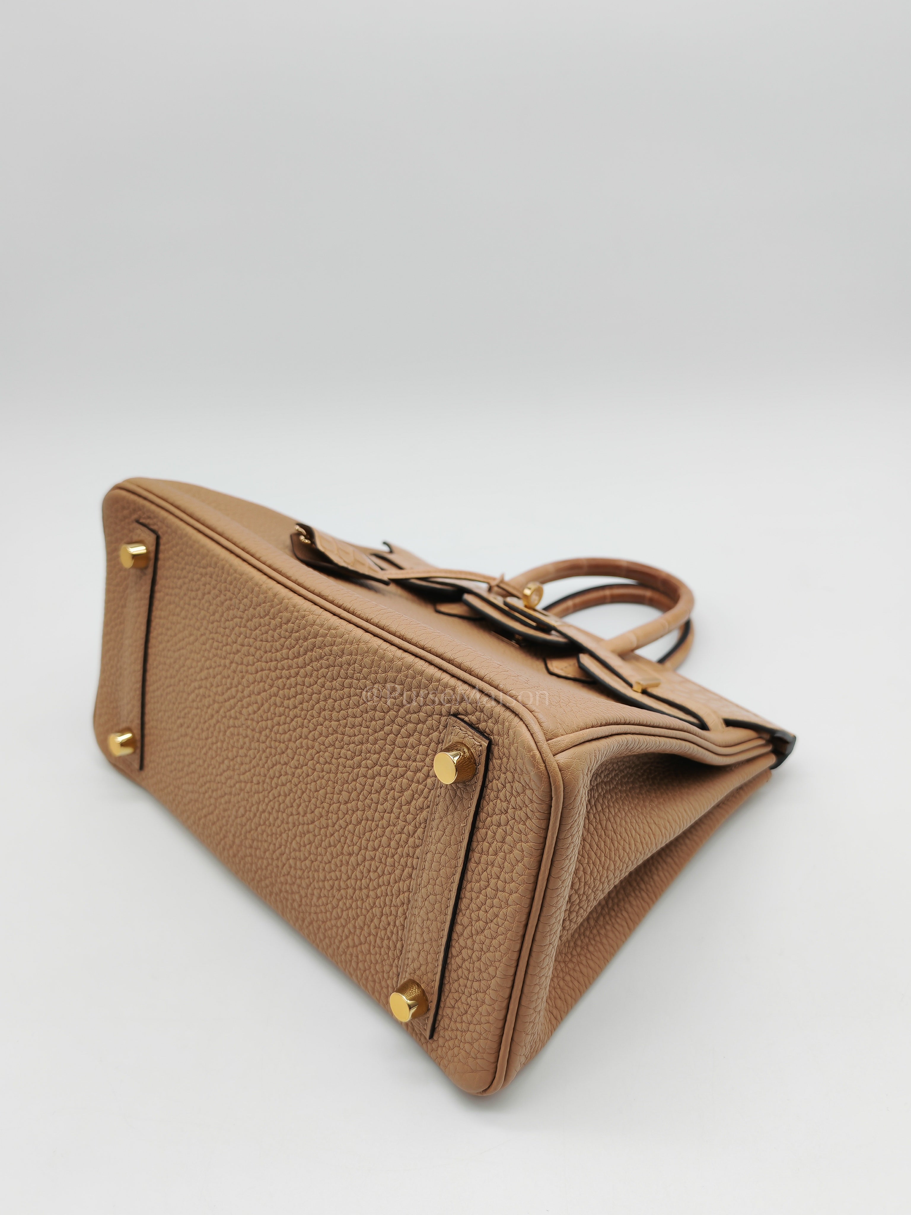 Birkin 25  Retourne Touch in Chai Togo and Alligator Leather in Permabrass Hardware Stamp U (2022)