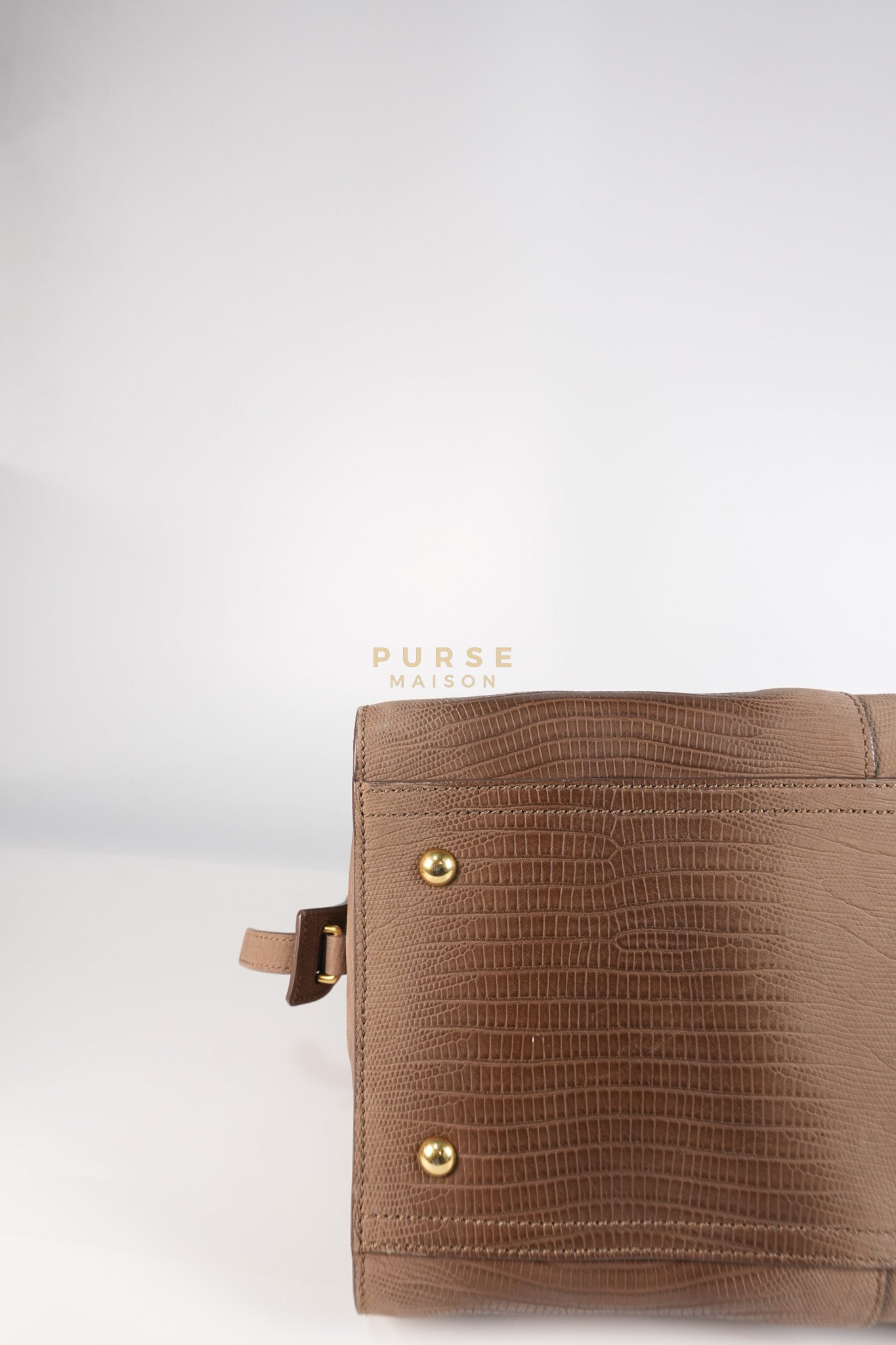 Cabas Chyc Tote Bag in Brown Lizard-Embossed Calfskin Leather & Gold Hardware | Purse Maison Luxury Bags Shop