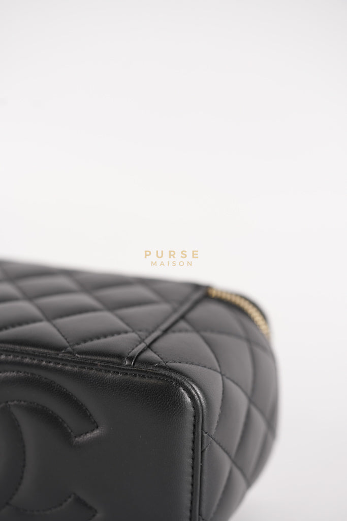 Camellia Crush Vanity Chain Shoulder Bag in Black Lambskin Leather and Aged Gold Hardware Microchip | Purse Maison Luxury Bags Shop