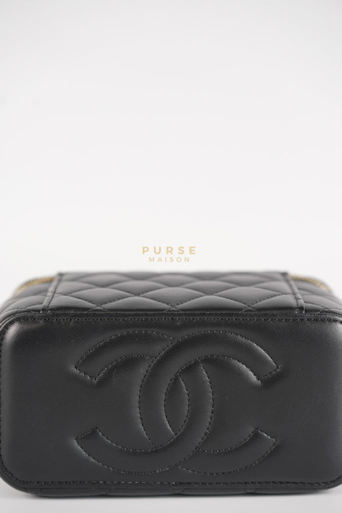 Camellia Crush Vanity Chain Shoulder Bag in Black Lambskin Leather and Aged Gold Hardware Microchip | Purse Maison Luxury Bags Shop