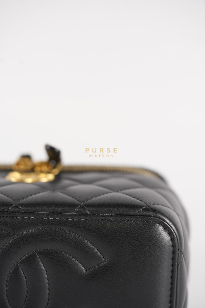 Camellia Crush Vanity Chain Shoulder Bag in Black Lambskin Leather and Aged Gold Hardware Microchip | Purse Maison Luxury Bags Shop