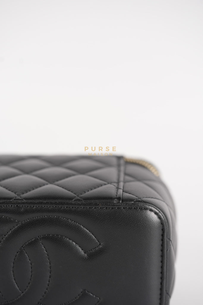 Camellia Crush Vanity Chain Shoulder Bag in Black Lambskin Leather and Aged Gold Hardware Microchip | Purse Maison Luxury Bags Shop
