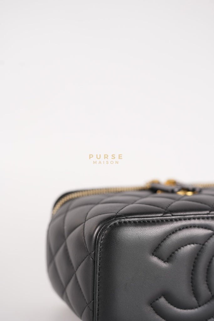 Camellia Crush Vanity Chain Shoulder Bag in Black Lambskin Leather and Aged Gold Hardware Microchip | Purse Maison Luxury Bags Shop