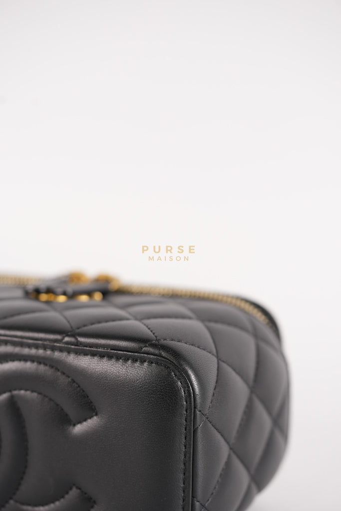 Camellia Crush Vanity Chain Shoulder Bag in Black Lambskin Leather and Aged Gold Hardware Microchip | Purse Maison Luxury Bags Shop