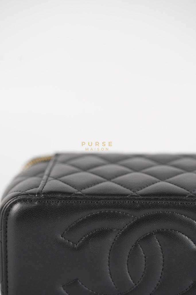 Camellia Crush Vanity Chain Shoulder Bag in Black Lambskin Leather and Aged Gold Hardware Microchip | Purse Maison Luxury Bags Shop