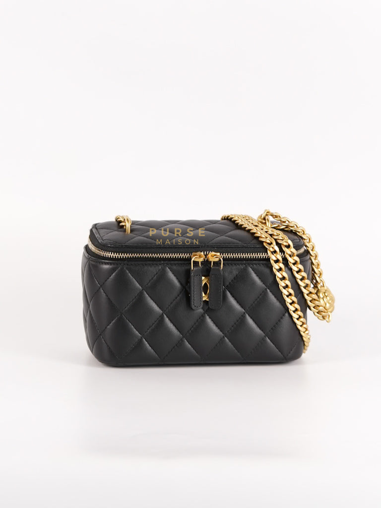 Camellia Crush Vanity Chain Shoulder Bag in Black Lambskin Leather and Aged Gold Hardware Microchip | Purse Maison Luxury Bags Shop