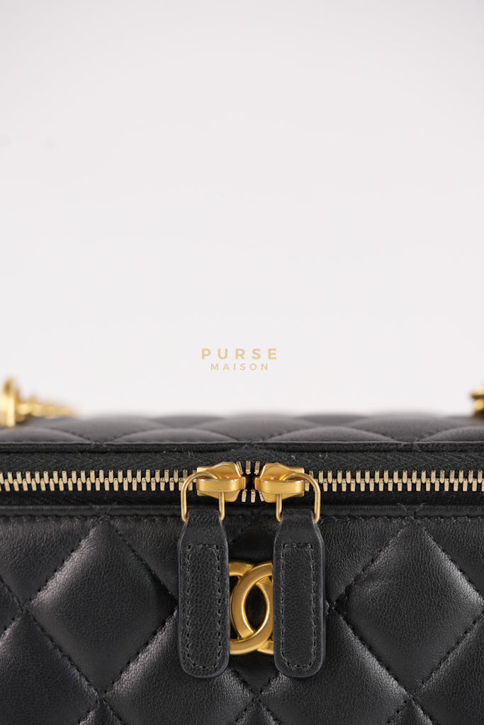 Camellia Crush Vanity Chain Shoulder Bag in Black Lambskin Leather and Aged Gold Hardware Microchip | Purse Maison Luxury Bags Shop