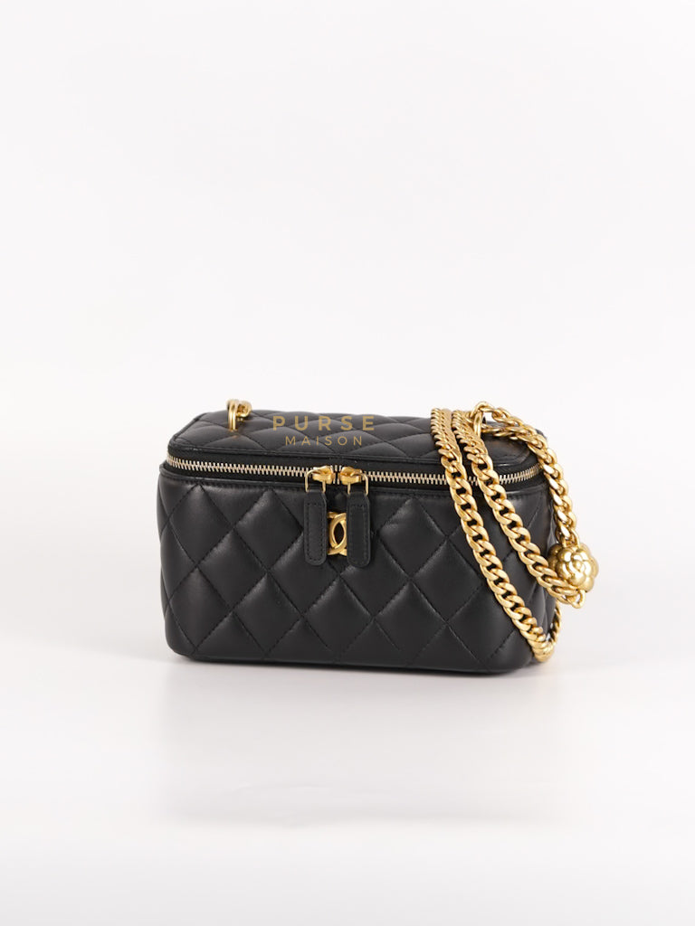 Camellia Crush Vanity Chain Shoulder Bag in Black Lambskin Leather and Aged Gold Hardware Microchip | Purse Maison Luxury Bags Shop
