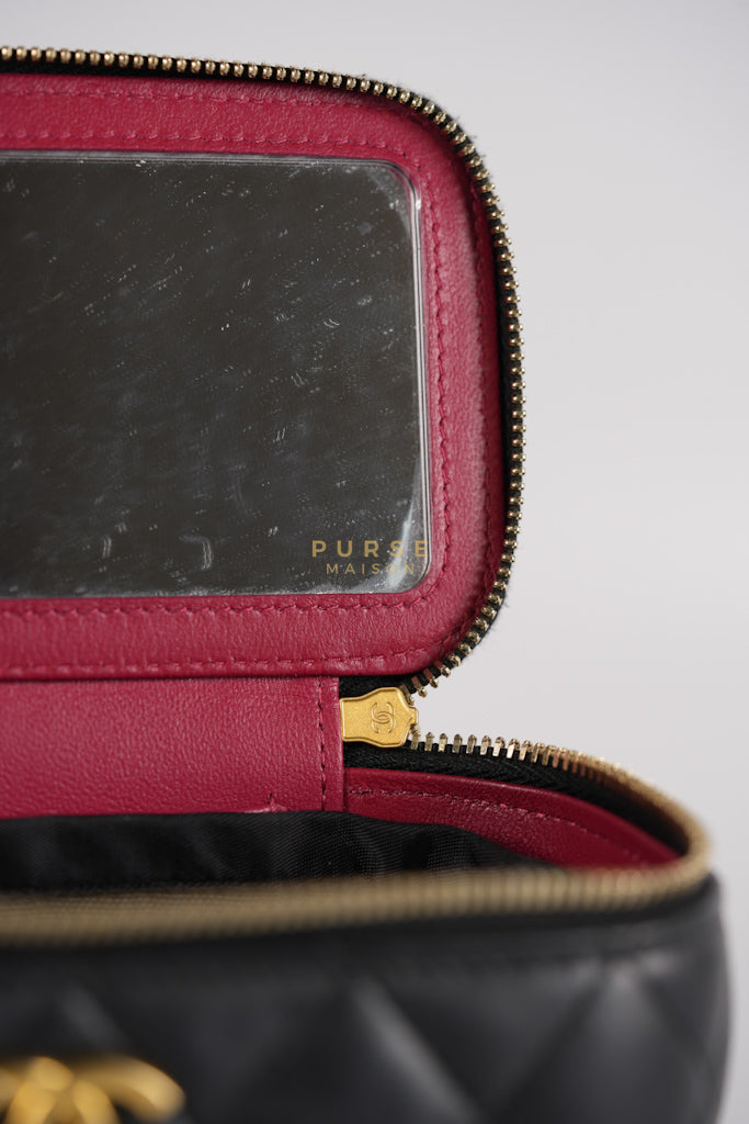 Camellia Crush Vanity Chain Shoulder Bag in Black Lambskin Leather and Aged Gold Hardware Microchip | Purse Maison Luxury Bags Shop