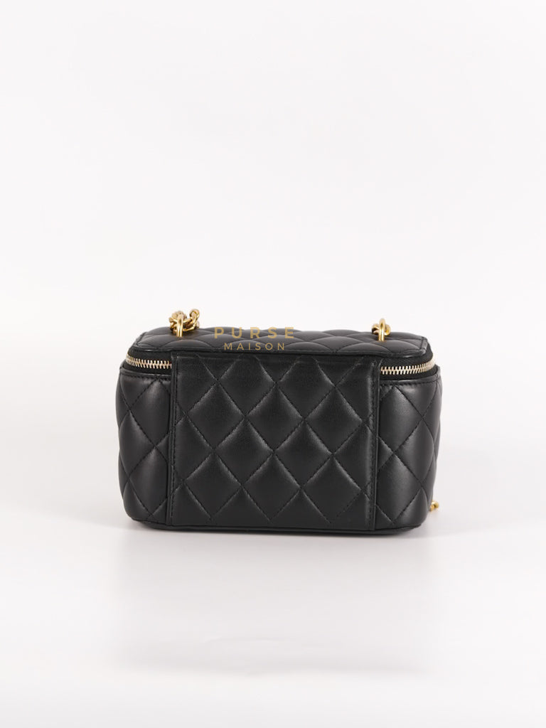 Camellia Crush Vanity Chain Shoulder Bag in Black Lambskin Leather and Aged Gold Hardware Microchip | Purse Maison Luxury Bags Shop