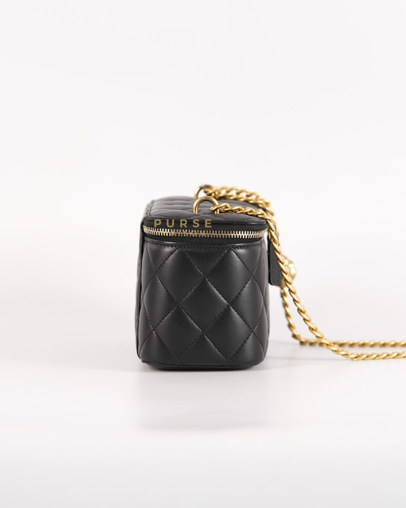 Camellia Crush Vanity Chain Shoulder Bag in Black Lambskin Leather and Aged Gold Hardware Microchip | Purse Maison Luxury Bags Shop