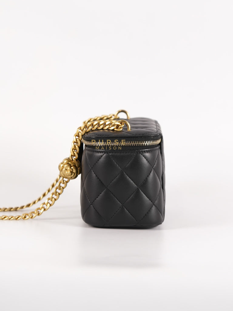 Camellia Crush Vanity Chain Shoulder Bag in Black Lambskin Leather and Aged Gold Hardware Microchip | Purse Maison Luxury Bags Shop