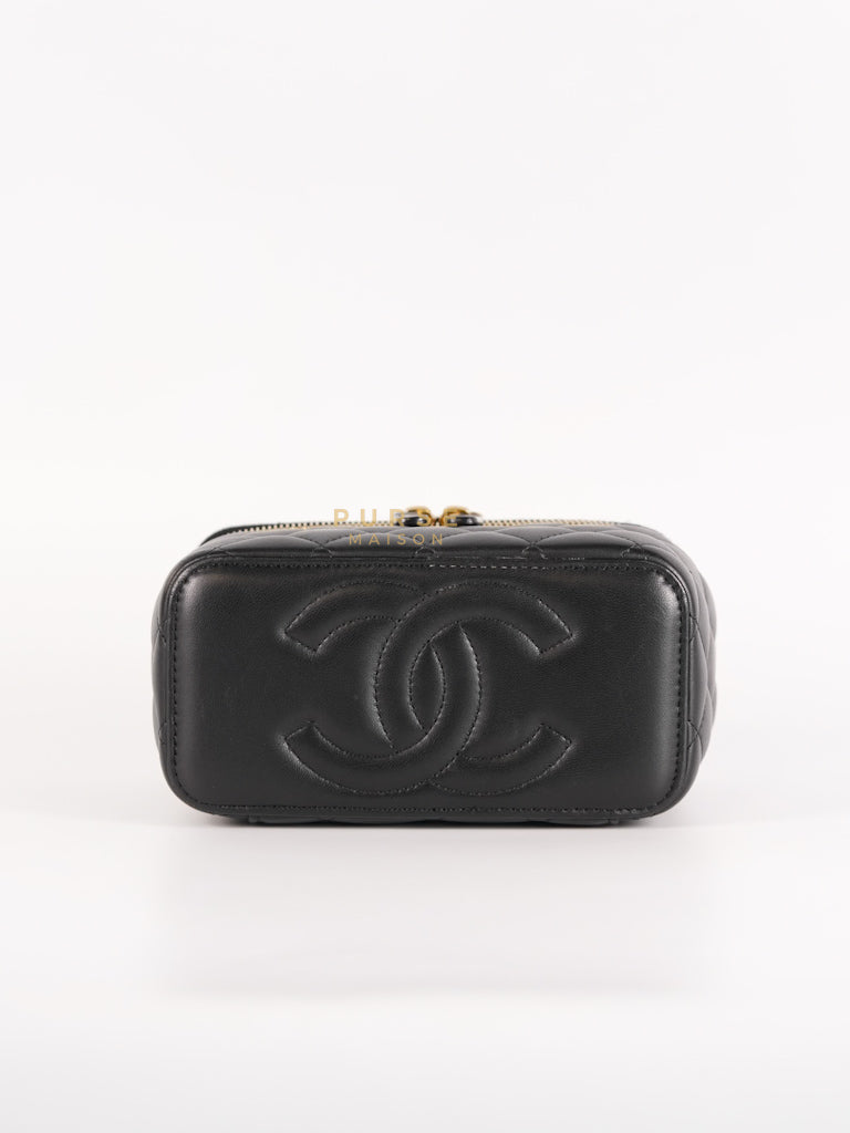 Camellia Crush Vanity Chain Shoulder Bag in Black Lambskin Leather and Aged Gold Hardware Microchip | Purse Maison Luxury Bags Shop