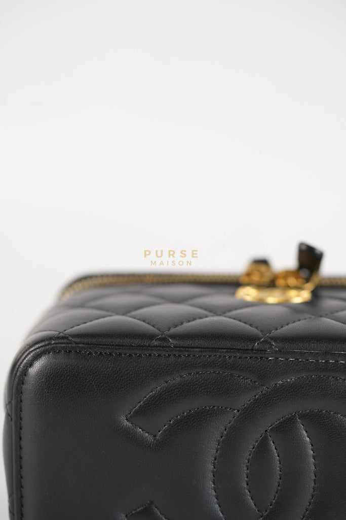Camellia Crush Vanity Chain Shoulder Bag in Black Lambskin Leather and Aged Gold Hardware Microchip | Purse Maison Luxury Bags Shop