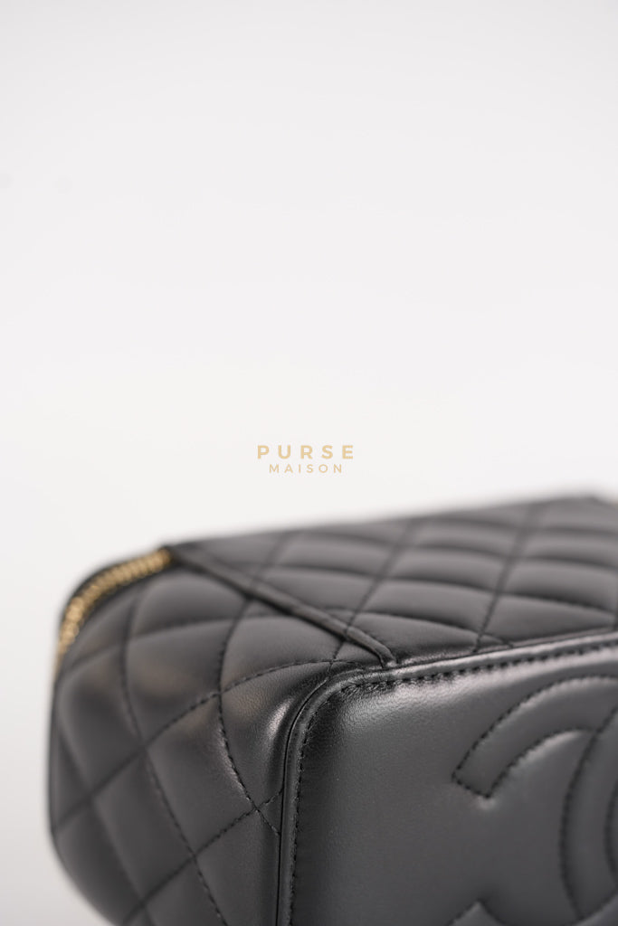 Camellia Crush Vanity Chain Shoulder Bag in Black Lambskin Leather and Aged Gold Hardware Microchip | Purse Maison Luxury Bags Shop