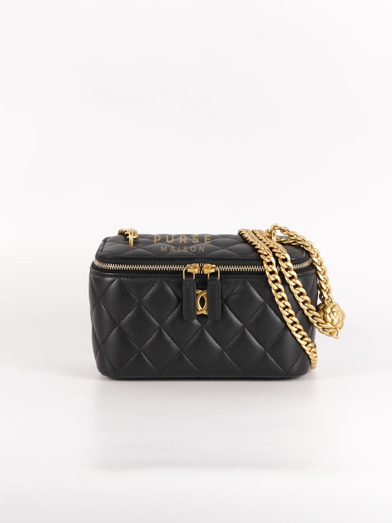 Camellia Crush Vanity Chain Shoulder Bag in Black Lambskin Leather and Aged Gold Hardware Microchip | Purse Maison Luxury Bags Shop