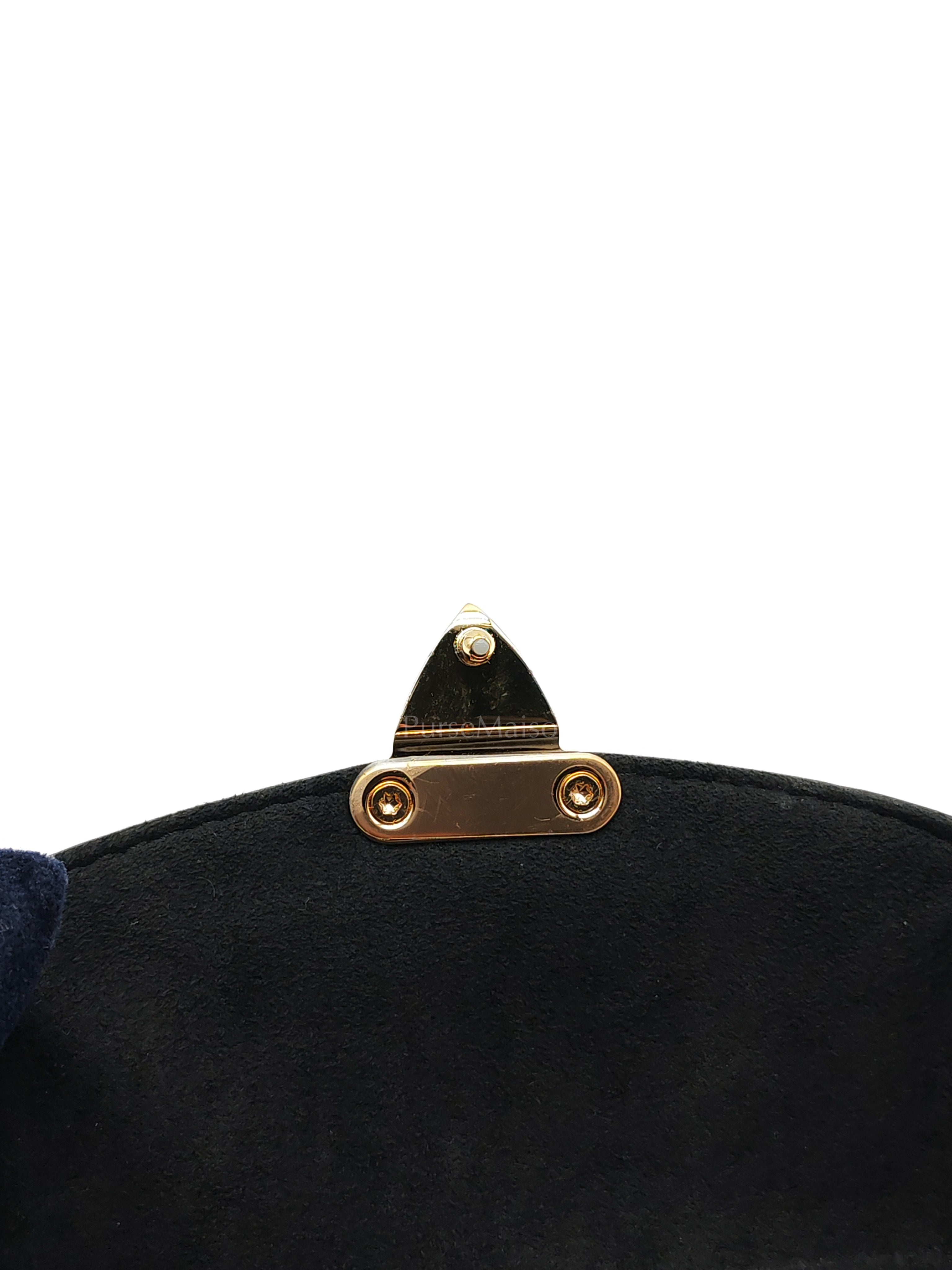 Camera Box Handbag in Reverse Monogram Canvas & Gold Hardware Microchip | Purse Maison Luxury Bags Shop