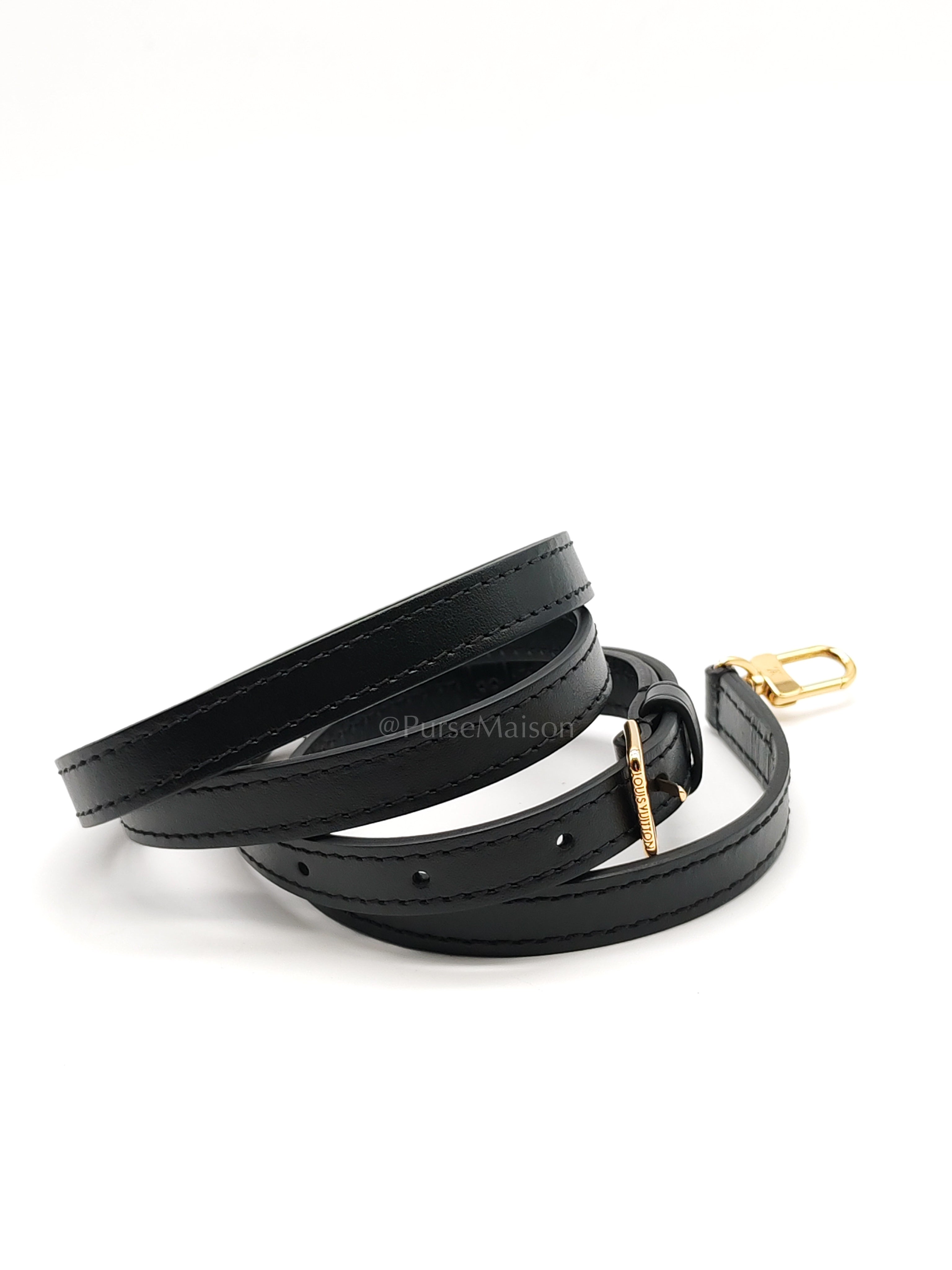 Camera Box Handbag in Reverse Monogram Canvas & Gold Hardware Microchip | Purse Maison Luxury Bags Shop