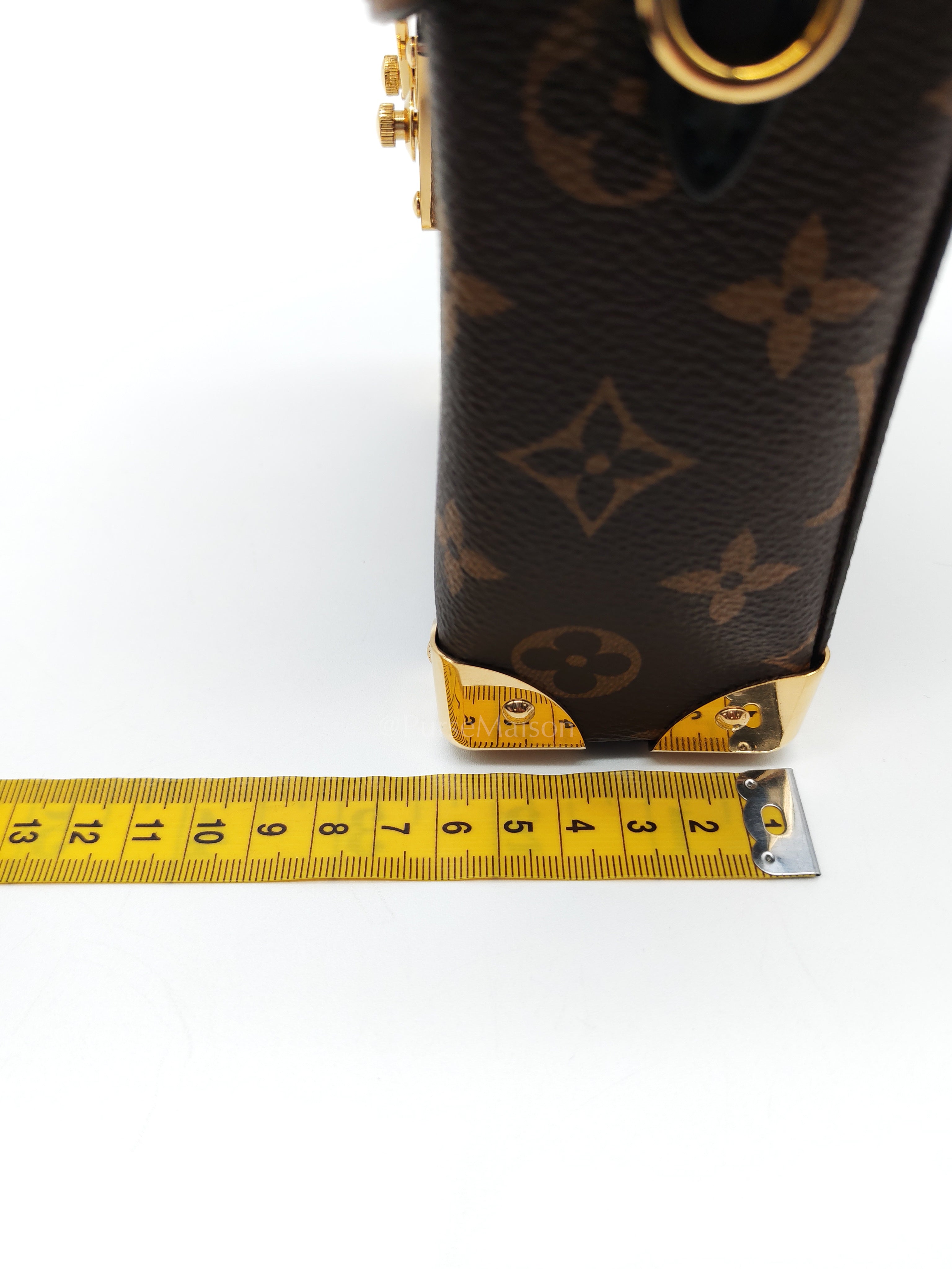 Camera Box Handbag in Reverse Monogram Canvas & Gold Hardware Microchip | Purse Maison Luxury Bags Shop