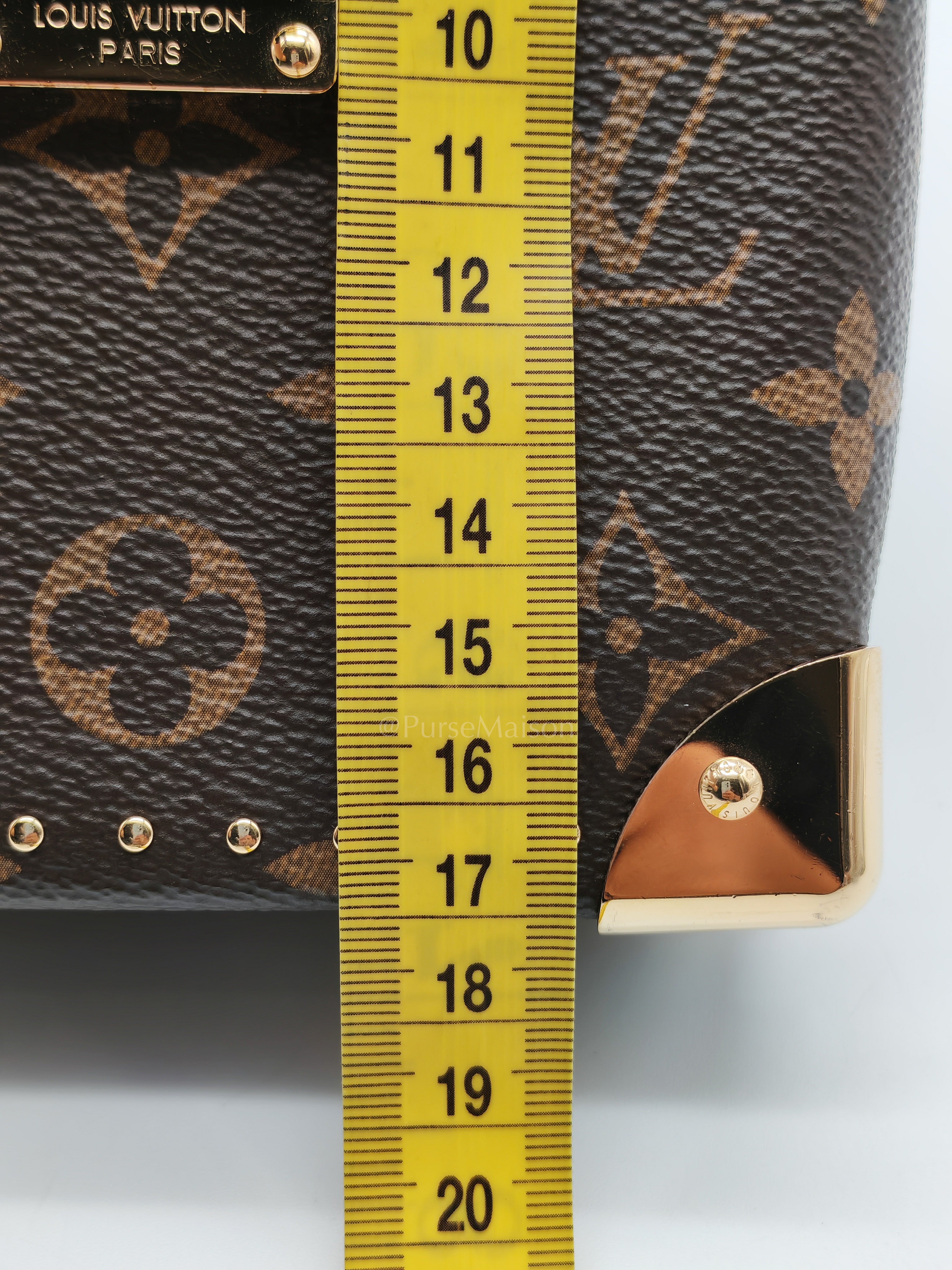 Camera Box Handbag in Reverse Monogram Canvas & Gold Hardware Microchip | Purse Maison Luxury Bags Shop