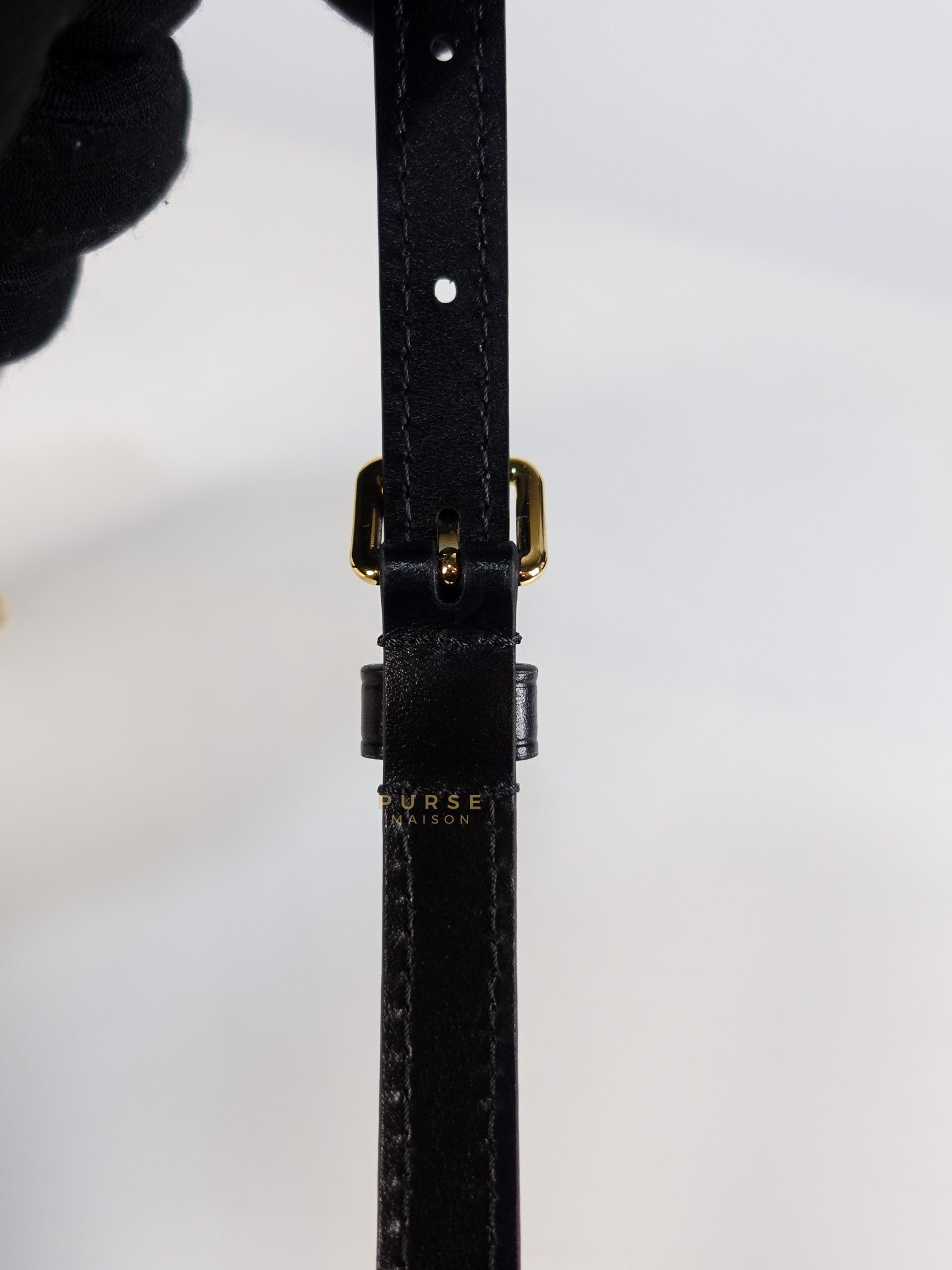 Camera Box Shoulder Bag in Reverse Monogram Canvas Gold Hardware Microchip | Purse Maison Luxury Bags Shop