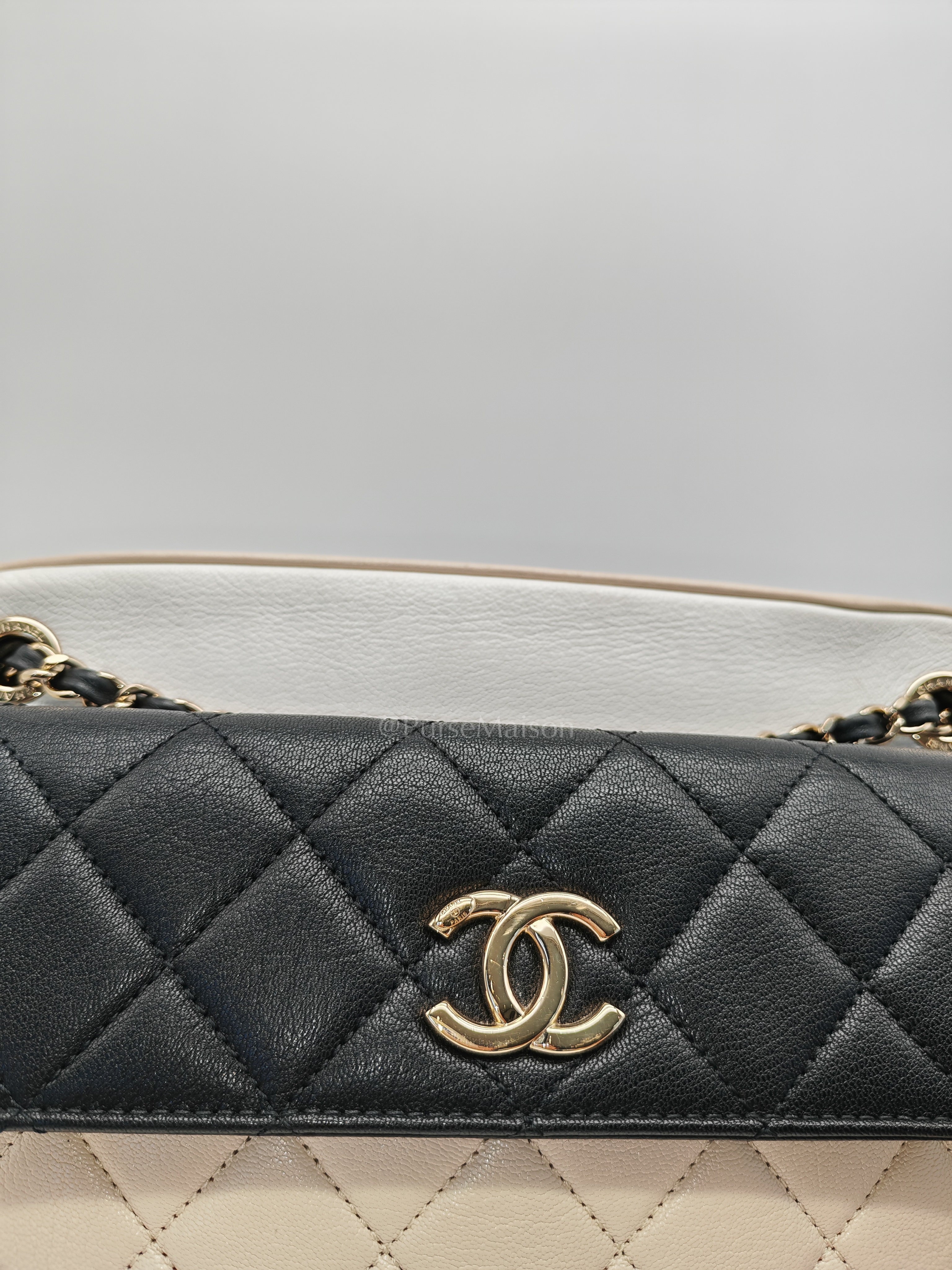 Camera Case Bag in Tricolor Beige/White/Black Quilted Goatskin Leather & Light Gold Hardware Series 29 | Purse Maison Luxury Bags Shop
