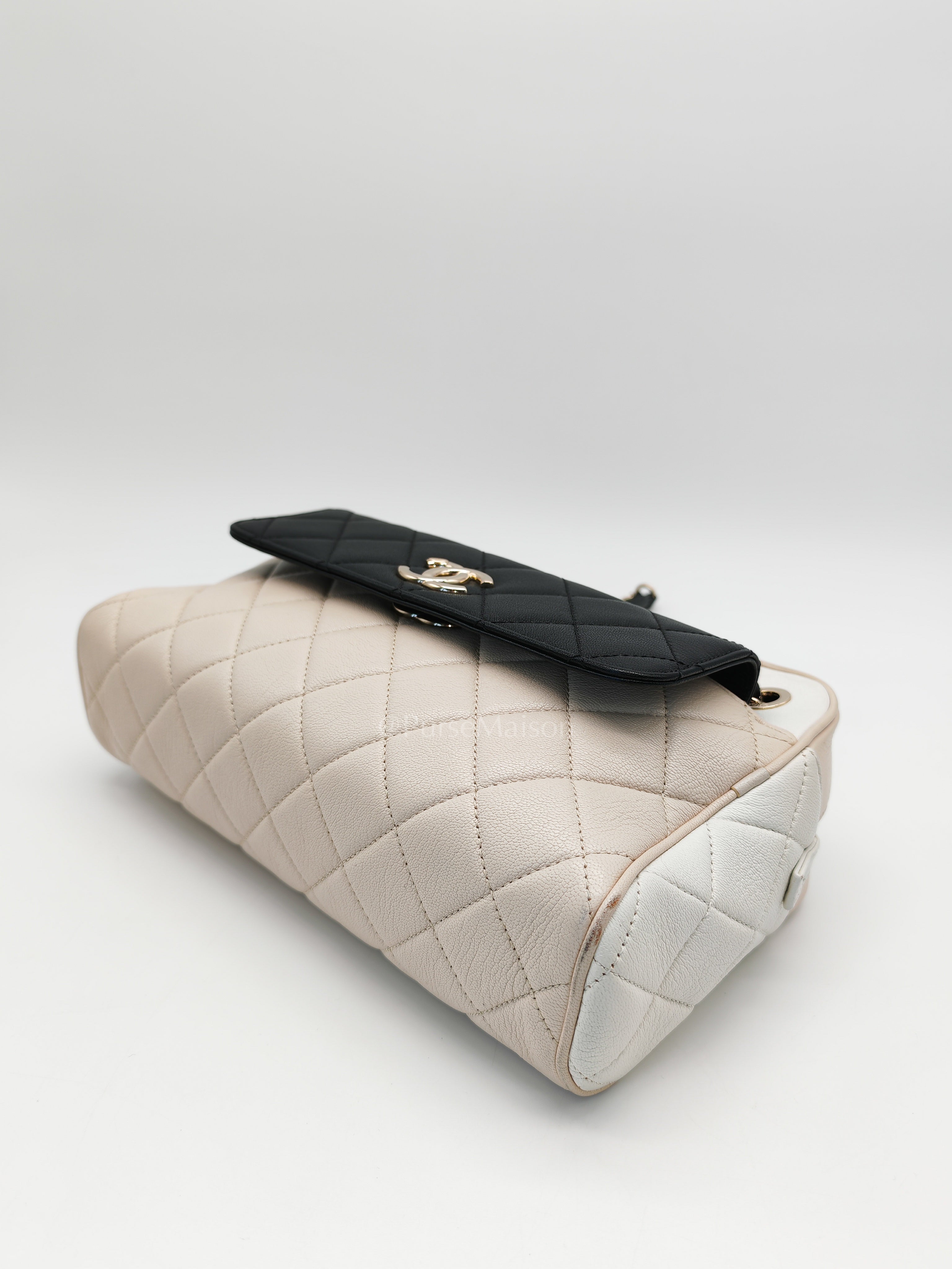 Camera Case Bag in Tricolor Beige/White/Black Quilted Goatskin Leather & Light Gold Hardware Series 29 | Purse Maison Luxury Bags Shop
